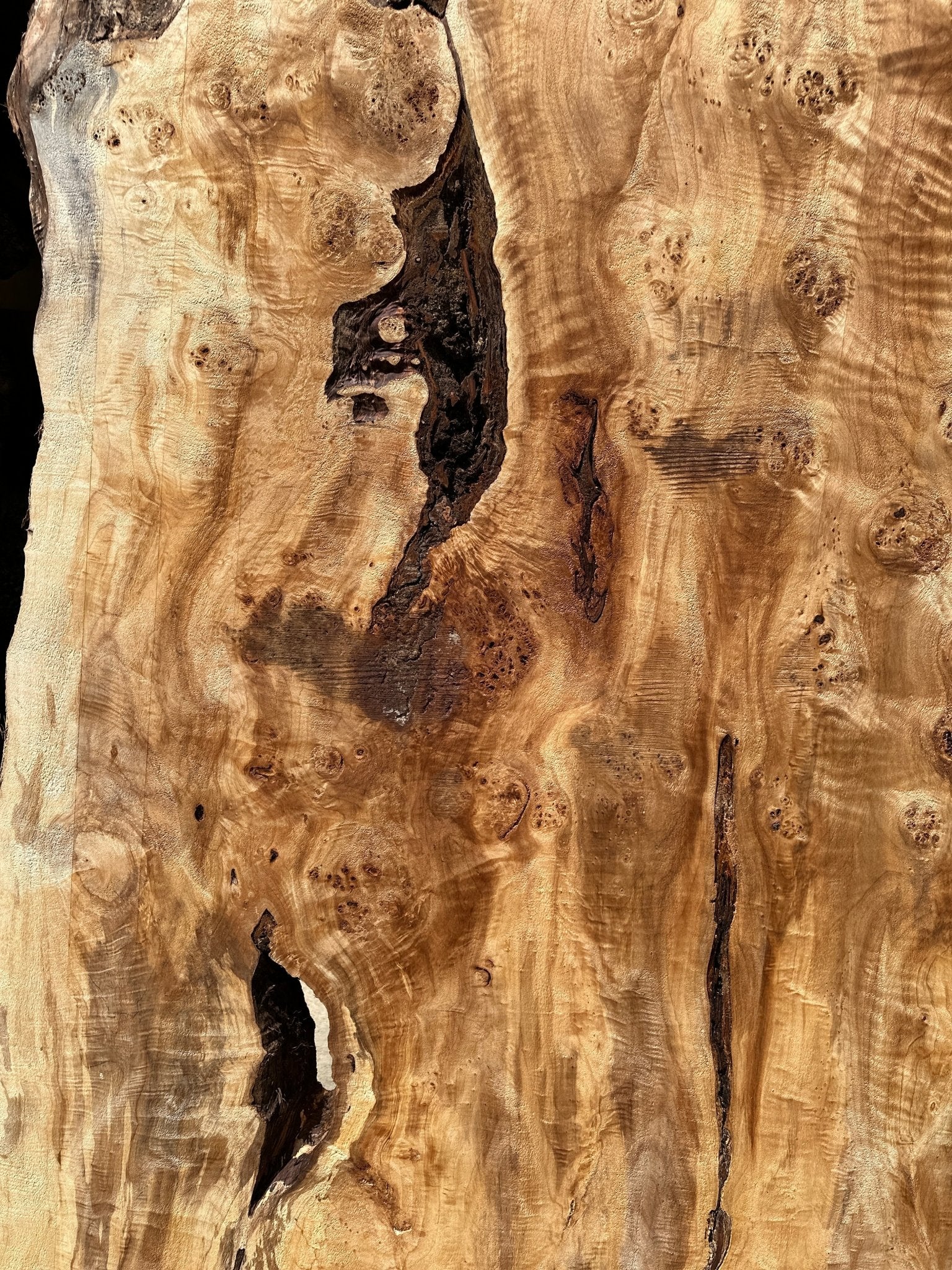 LiveEdge Mappa Burl | Mappa Burl | Hamilton Lee Supply