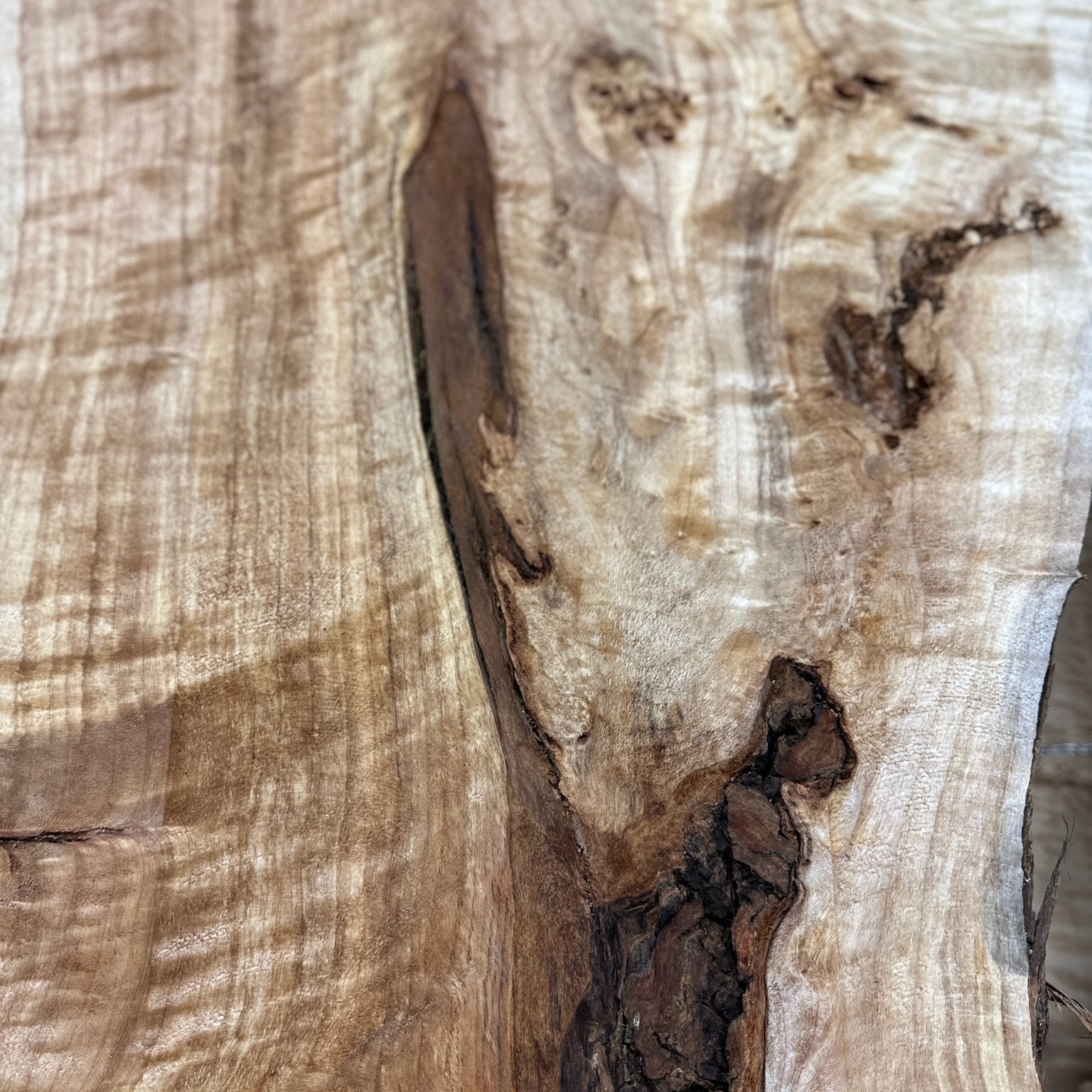 LiveEdge Mappa Burl | Mappa Burl | Hamilton Lee Supply