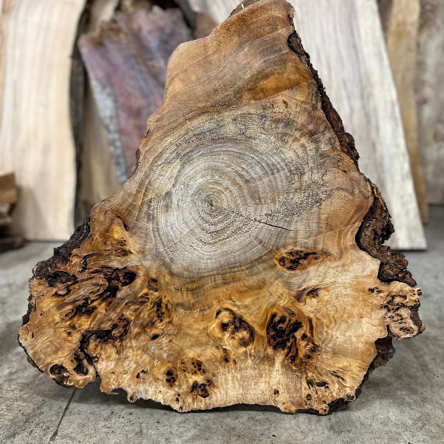 LiveEdge Mappa Burl | Mappa Burl | Hamilton Lee Supply