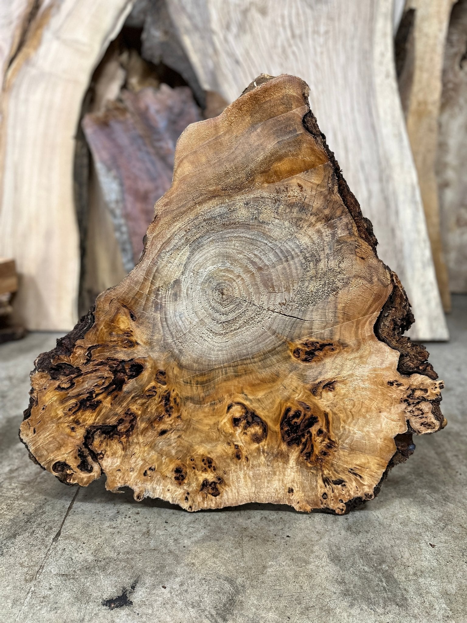 LiveEdge Mappa Burl | Mappa Burl | Hamilton Lee Supply