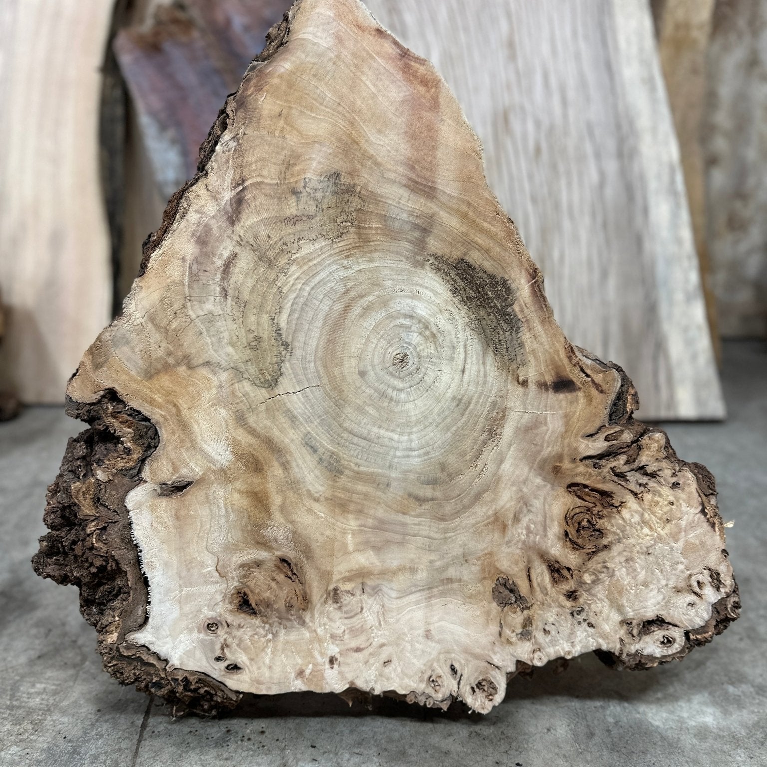LiveEdge Mappa Burl | Mappa Burl | Hamilton Lee Supply
