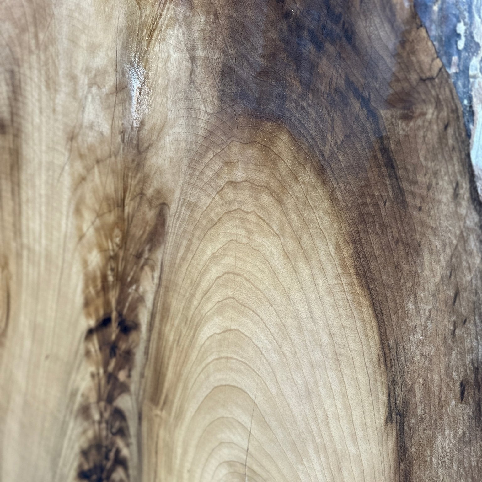 LiveEdge Myrtle | Myrtle | Hamilton Lee Supply