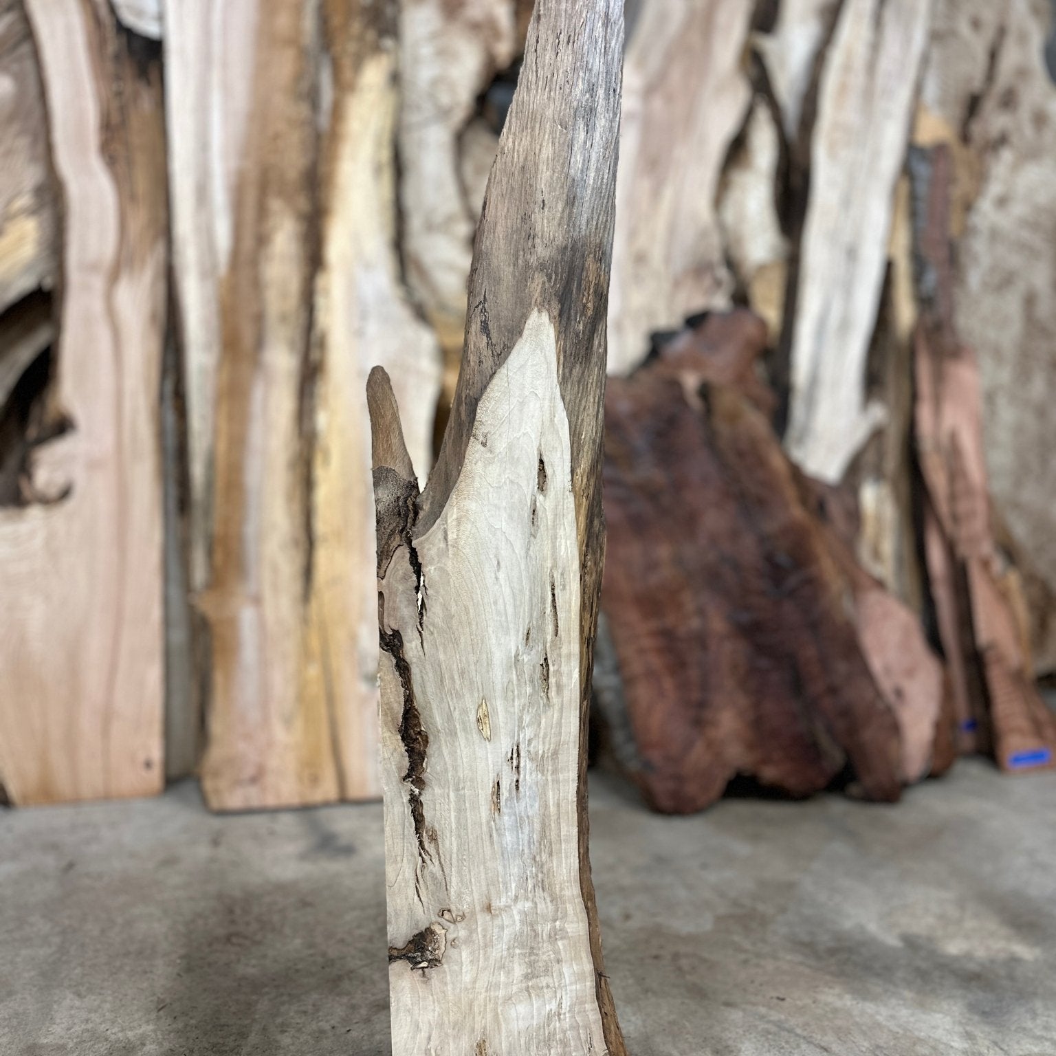 LiveEdge Myrtle | Myrtle | Hamilton Lee Supply