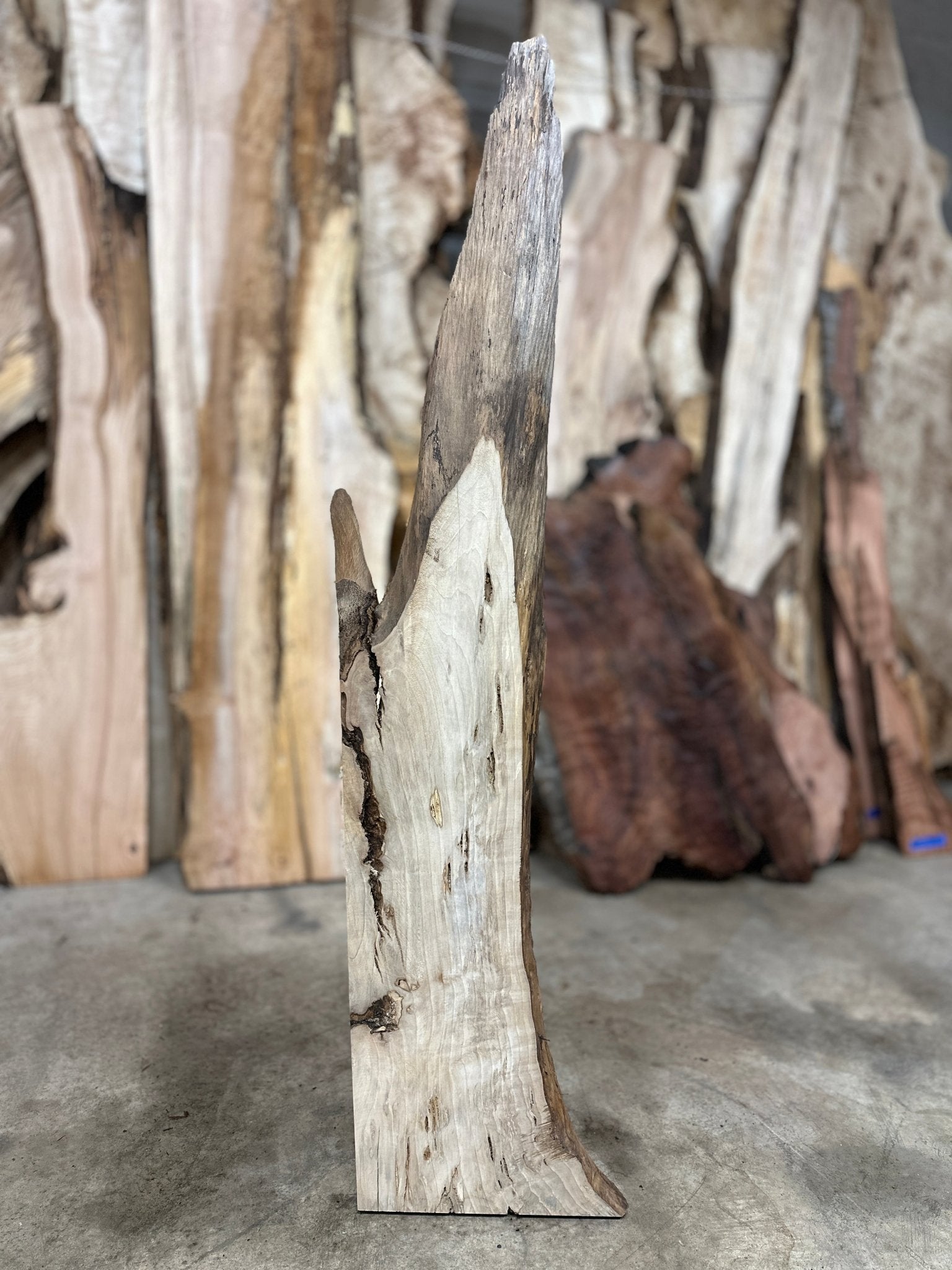 LiveEdge Myrtle | Myrtle | Hamilton Lee Supply