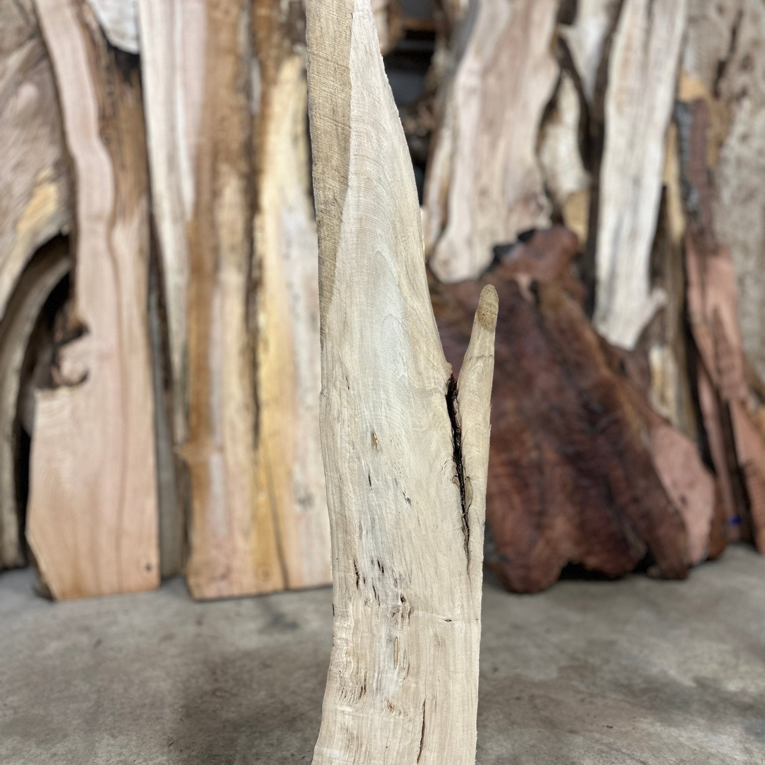 LiveEdge Myrtle | Myrtle | Hamilton Lee Supply