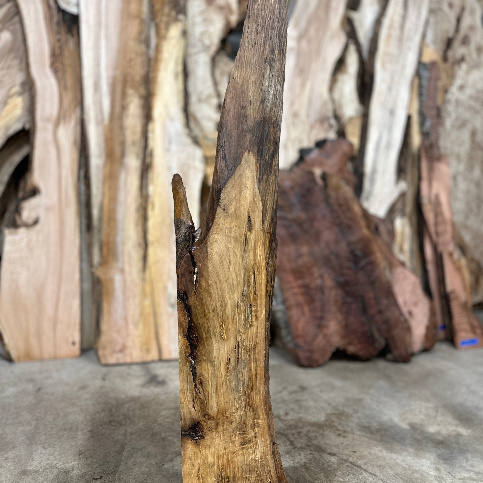 LiveEdge Myrtle | Myrtle | Hamilton Lee Supply
