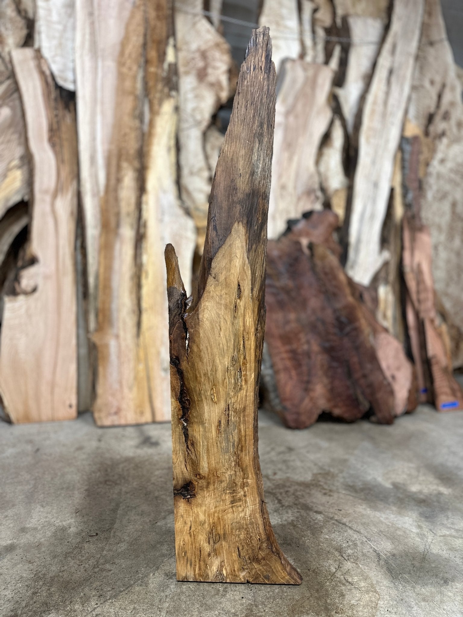 LiveEdge Myrtle | Myrtle | Hamilton Lee Supply