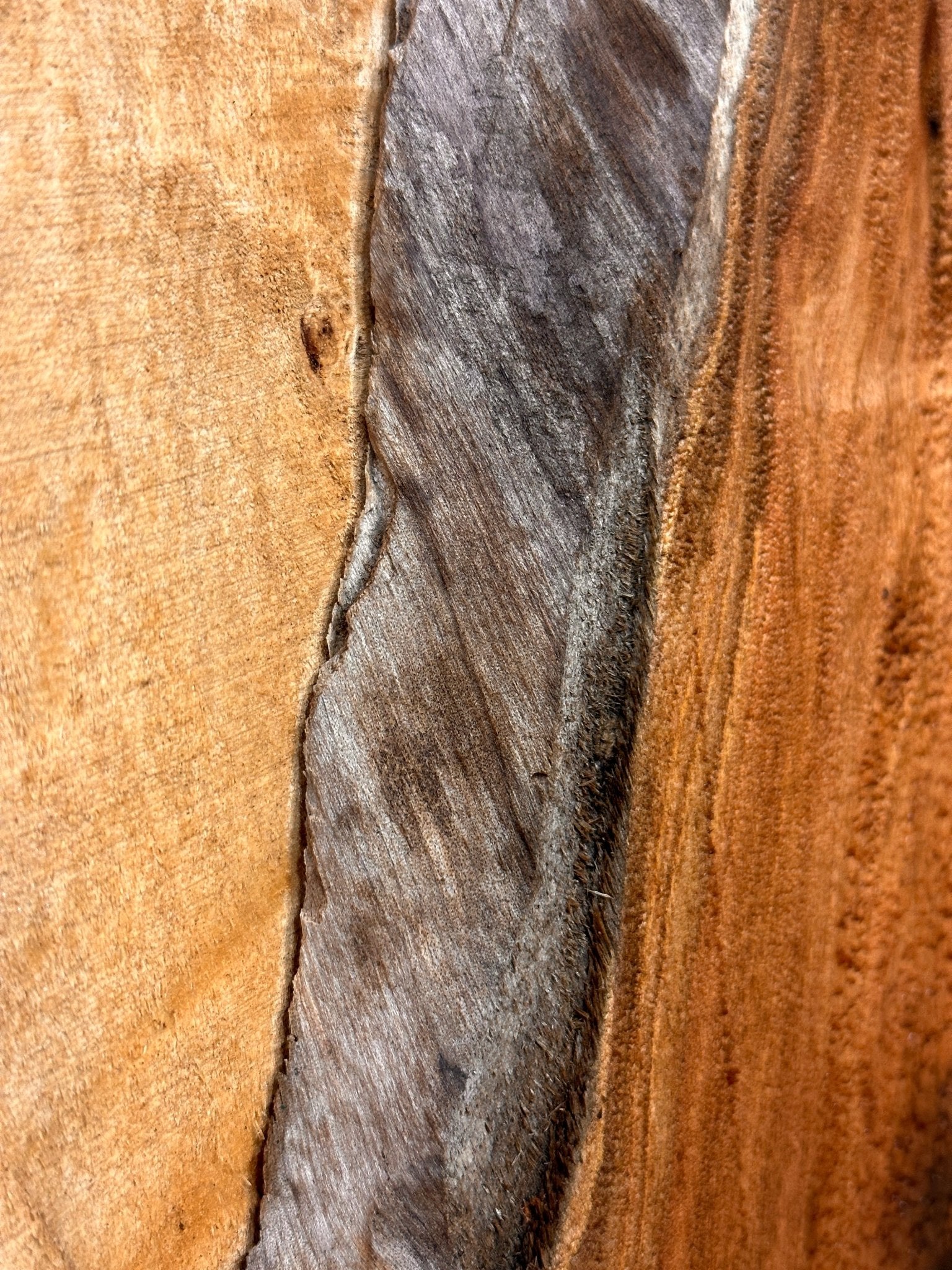 LiveEdge Mystery | Charcuterie Stock | Hamilton Lee Supply