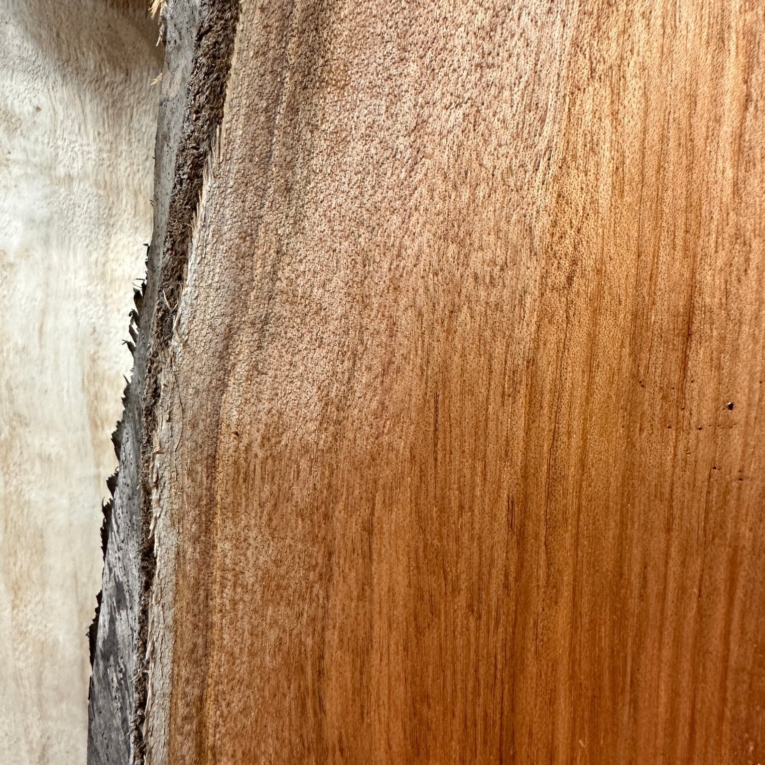 LiveEdge Mystery | Charcuterie Stock | Hamilton Lee Supply