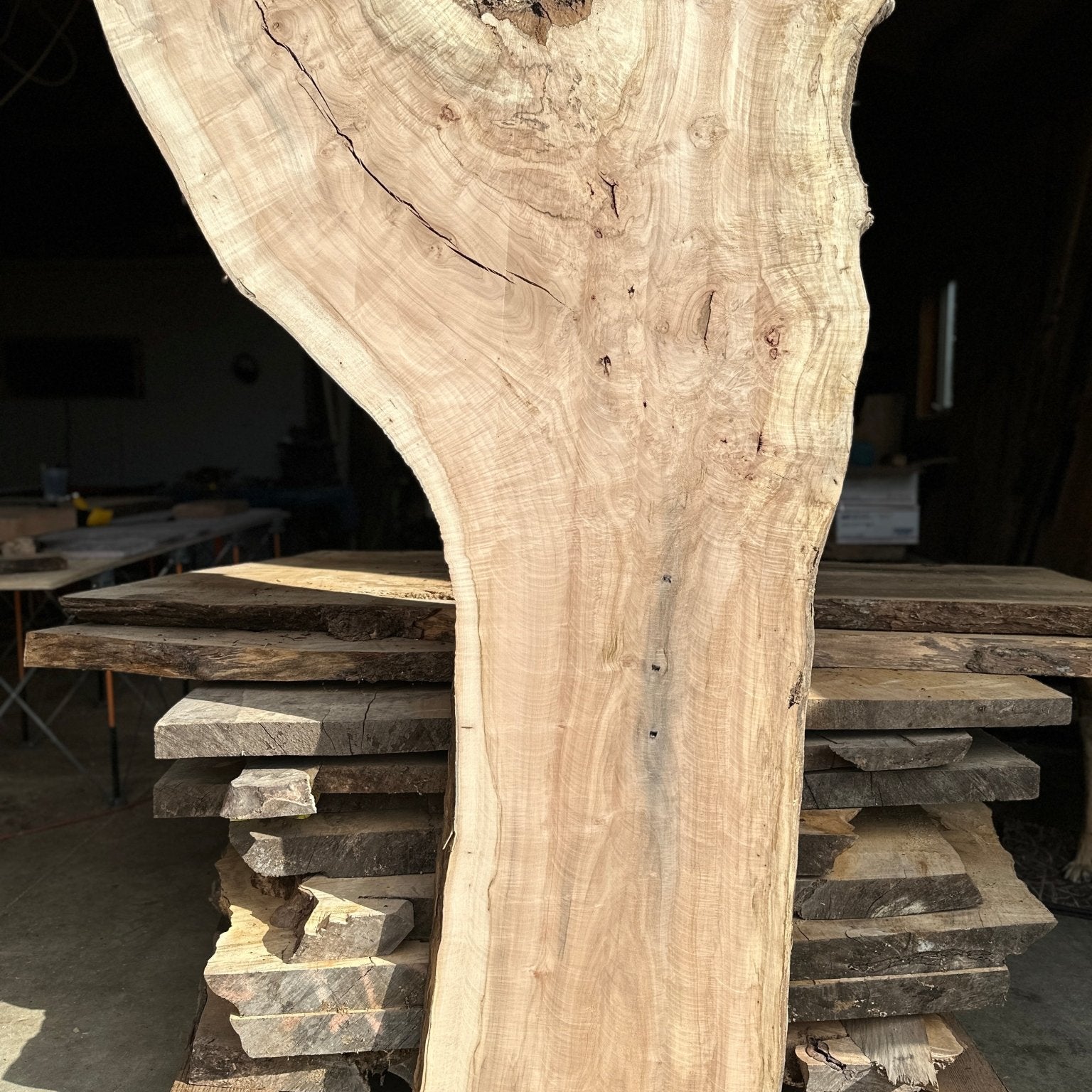 LiveEdge Norway Maple | Norway Maple | Hamilton Lee Supply