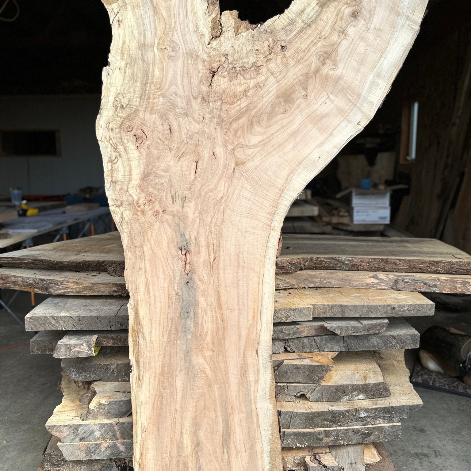 LiveEdge Norway Maple | Norway Maple | Hamilton Lee Supply