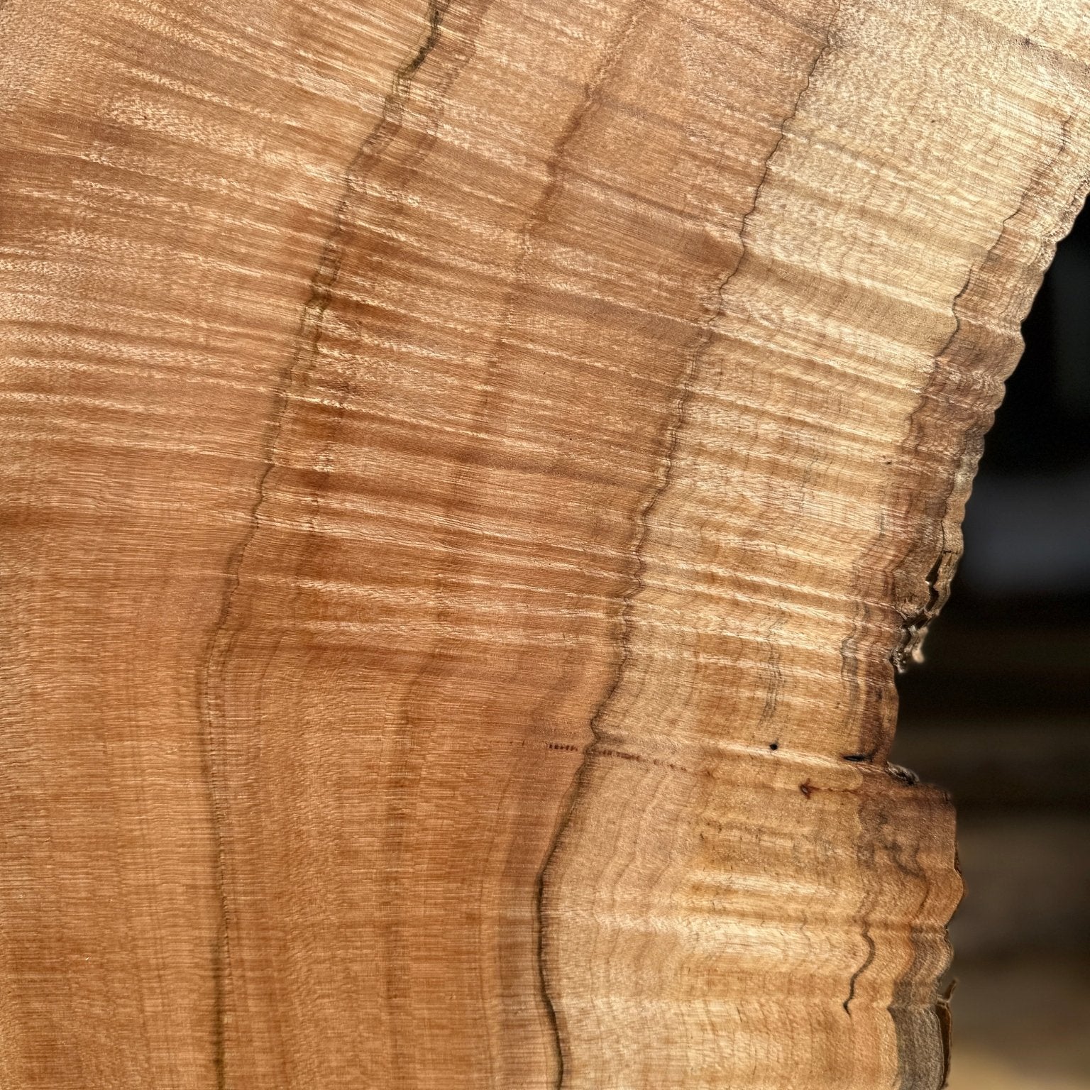 LiveEdge Norway Maple | Norway Maple | Hamilton Lee Supply