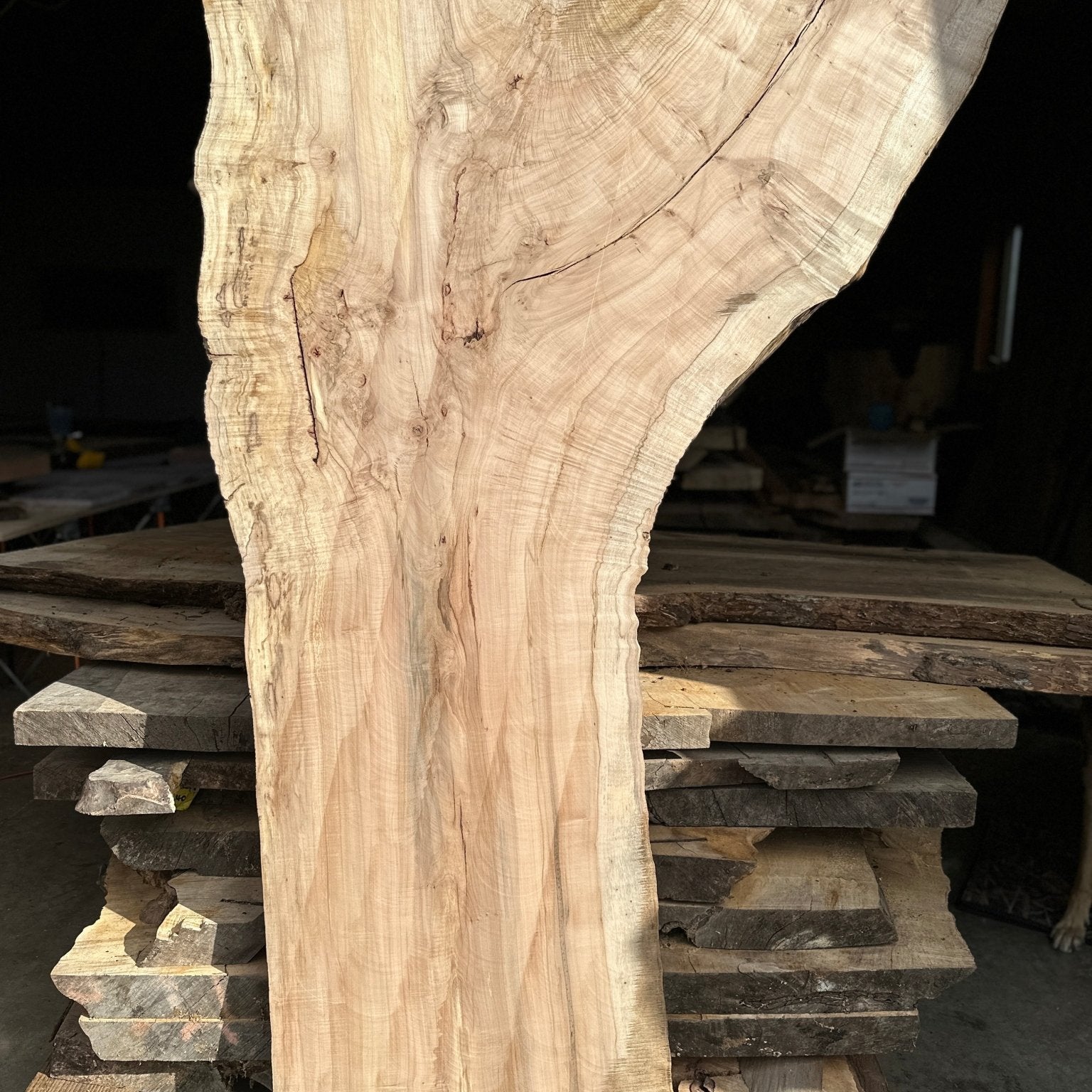 LiveEdge Norway Maple | Norway Maple | Hamilton Lee Supply