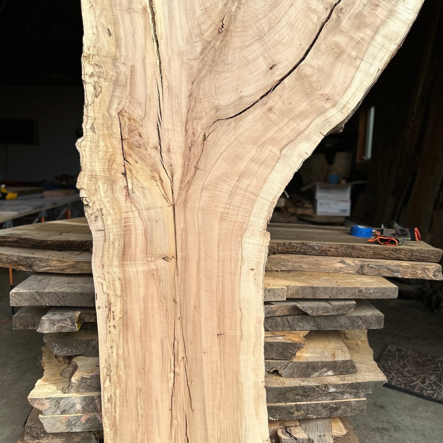 LiveEdge Norway Maple | Norway Maple | Hamilton Lee Supply