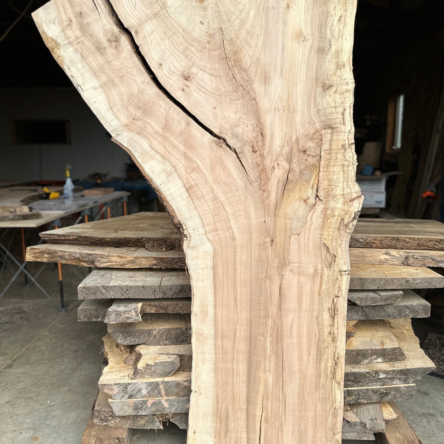 LiveEdge Norway Maple | Norway Maple | Hamilton Lee Supply