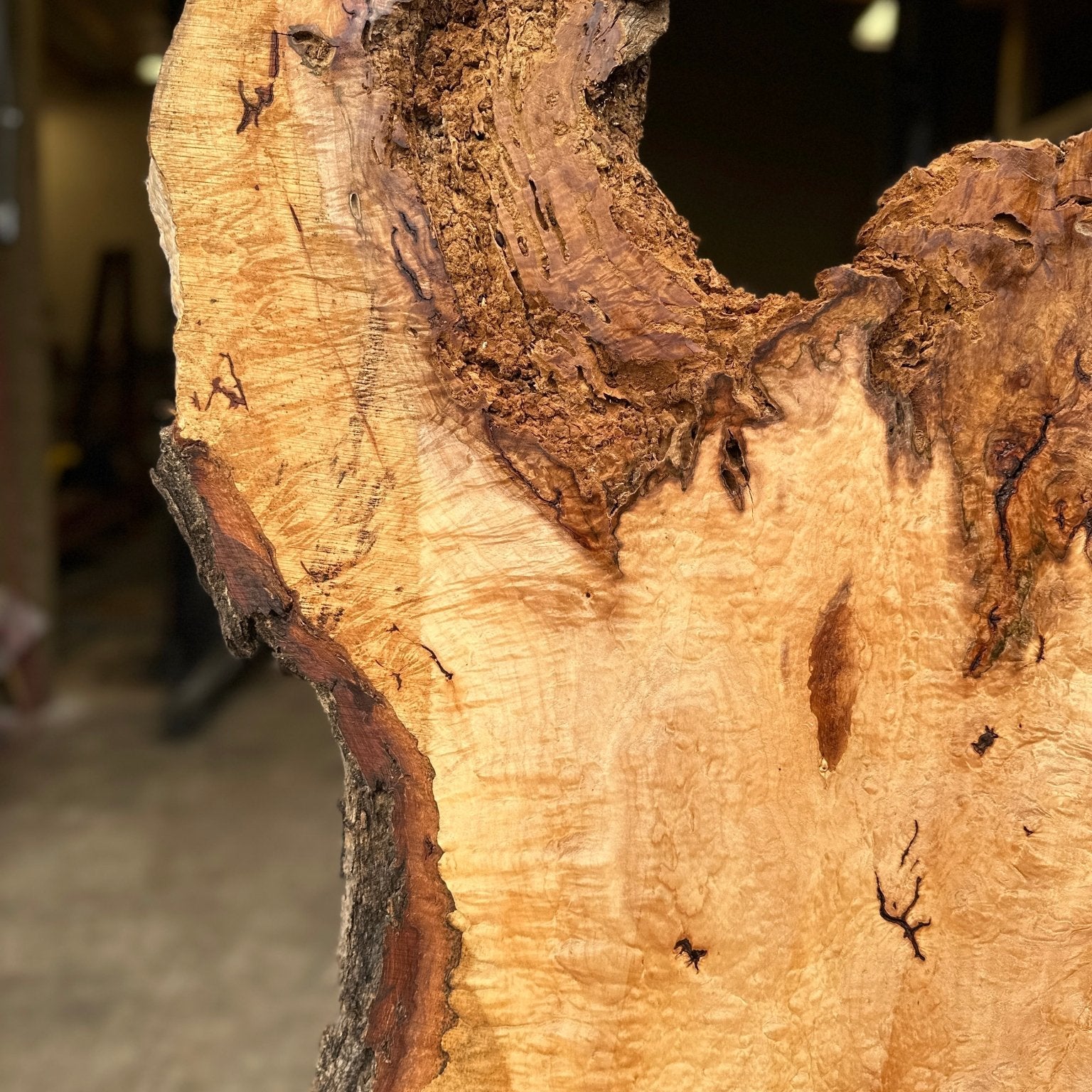 LiveEdge Norway Maple | Norway Maple | Hamilton Lee Supply