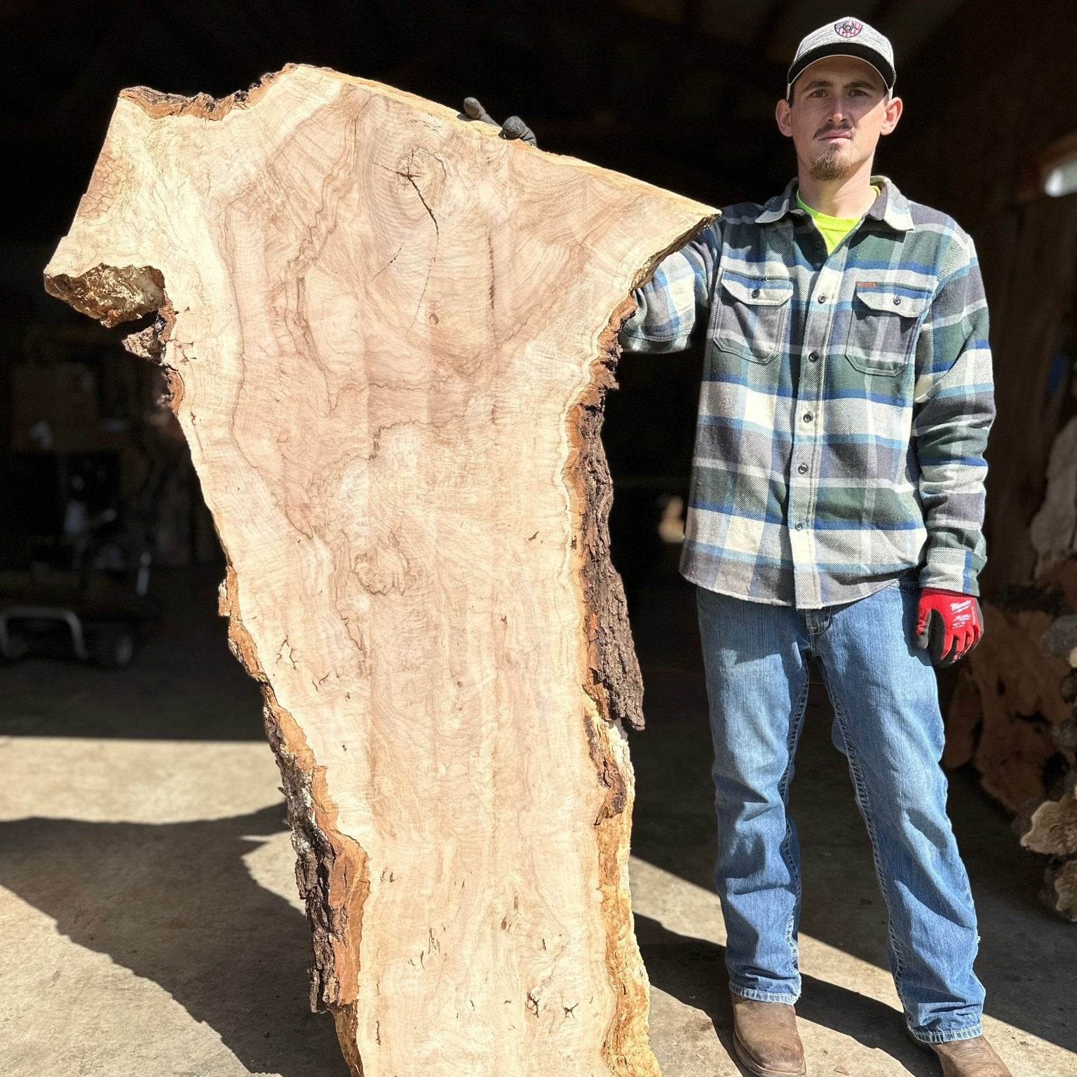 LiveEdge Norway Maple | Norway Maple | Hamilton Lee Supply