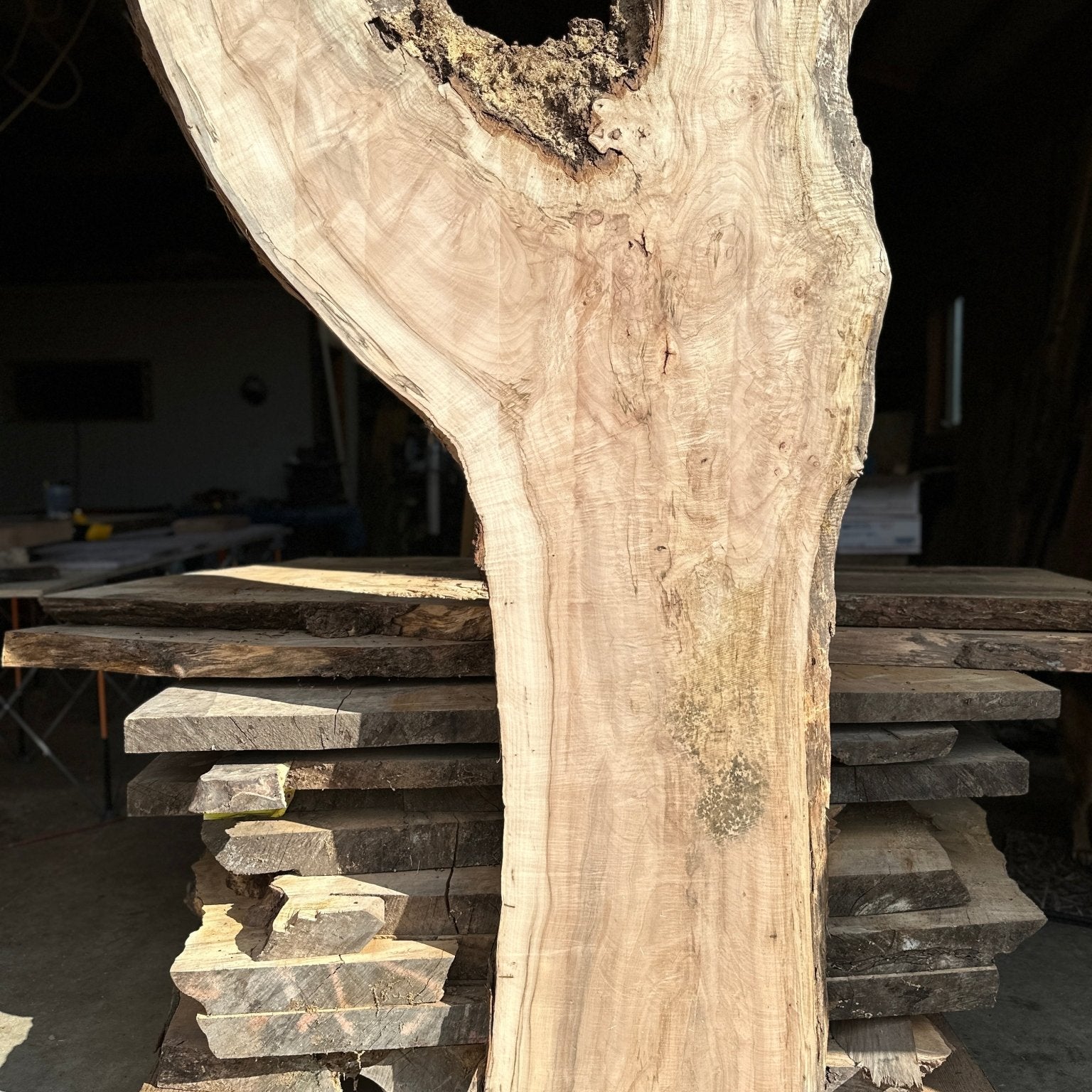 LiveEdge Norway Maple | Norway Maple | Hamilton Lee Supply