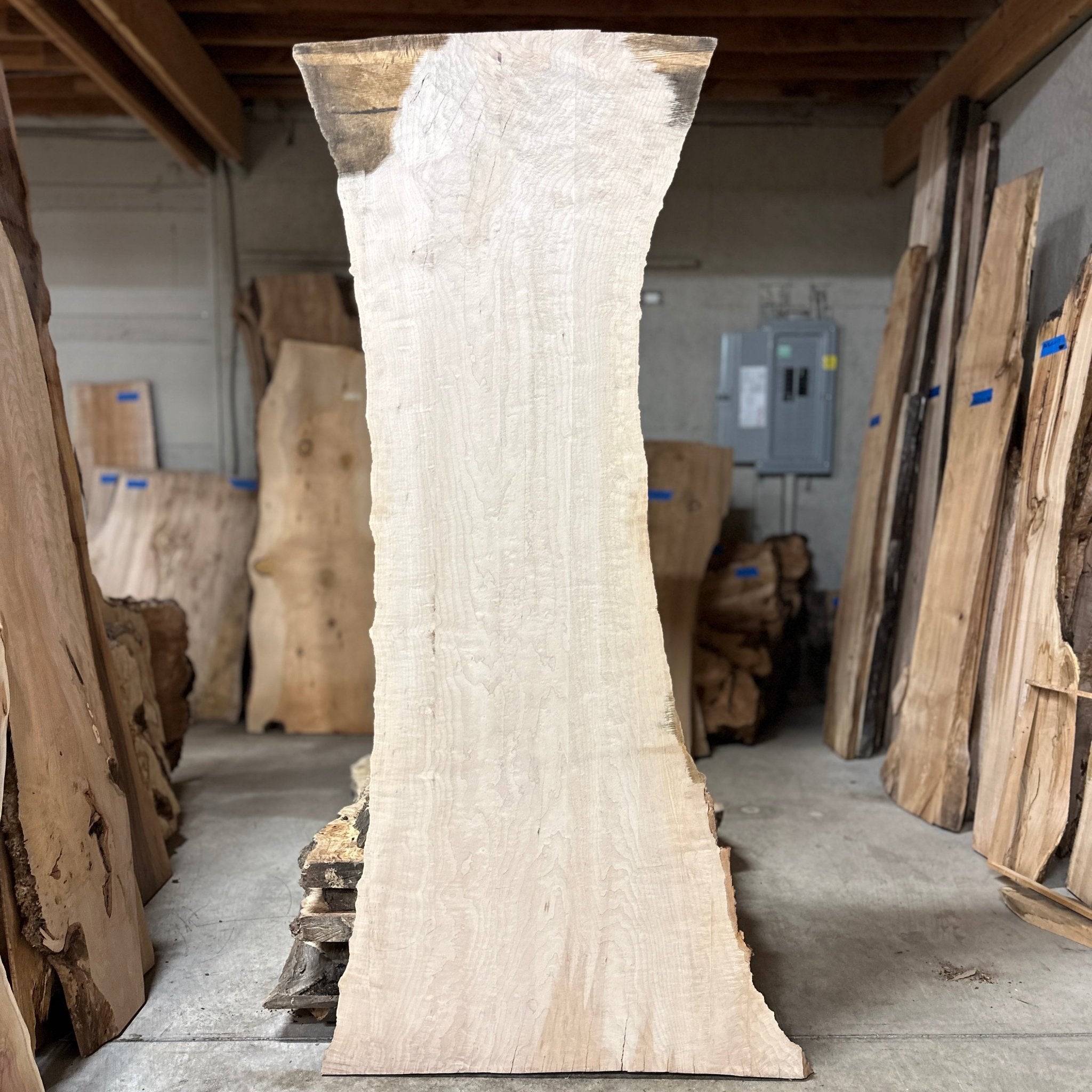 LiveEdge Norway Maple | Norway Maple | Hamilton Lee Supply