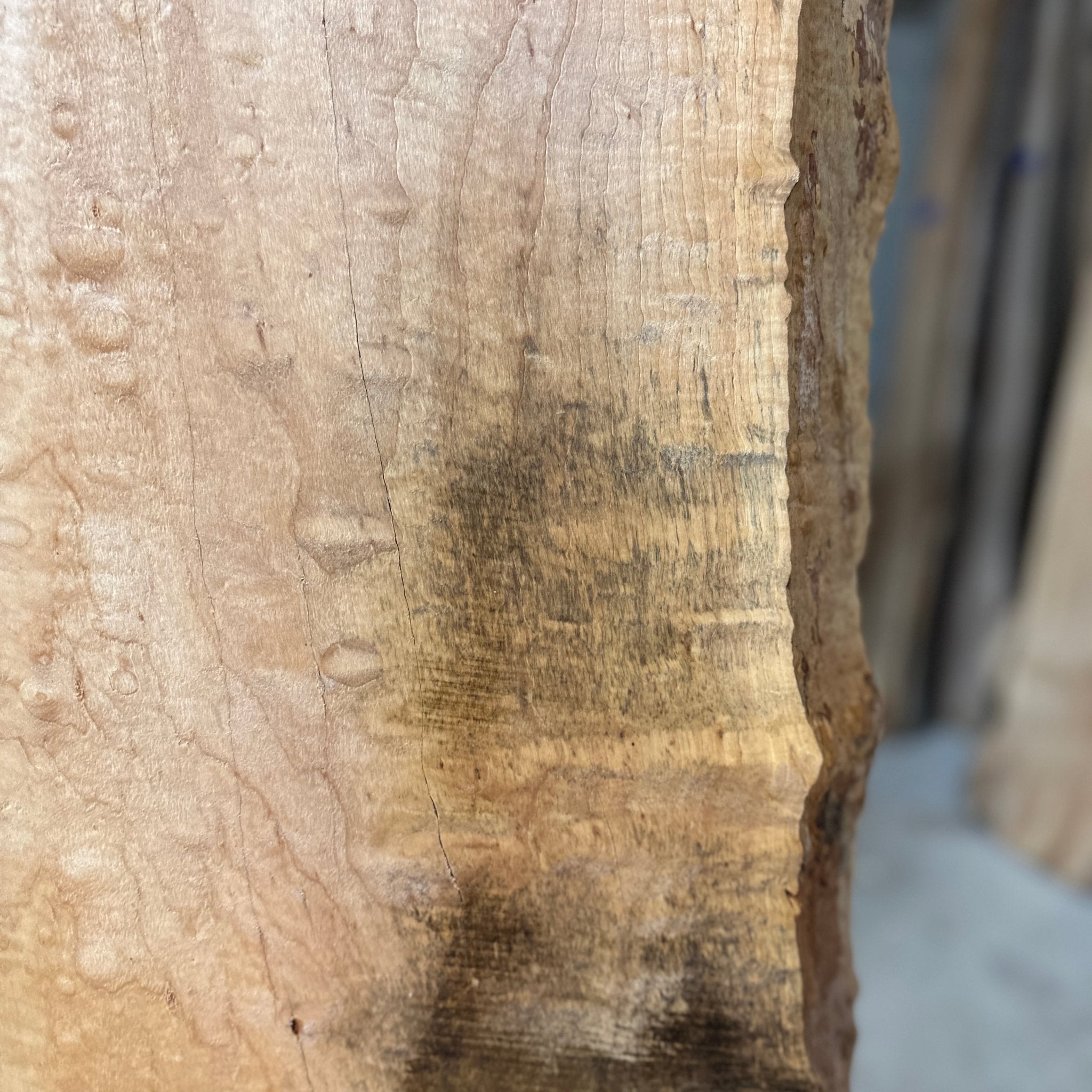 LiveEdge Norway Maple | Norway Maple | Hamilton Lee Supply