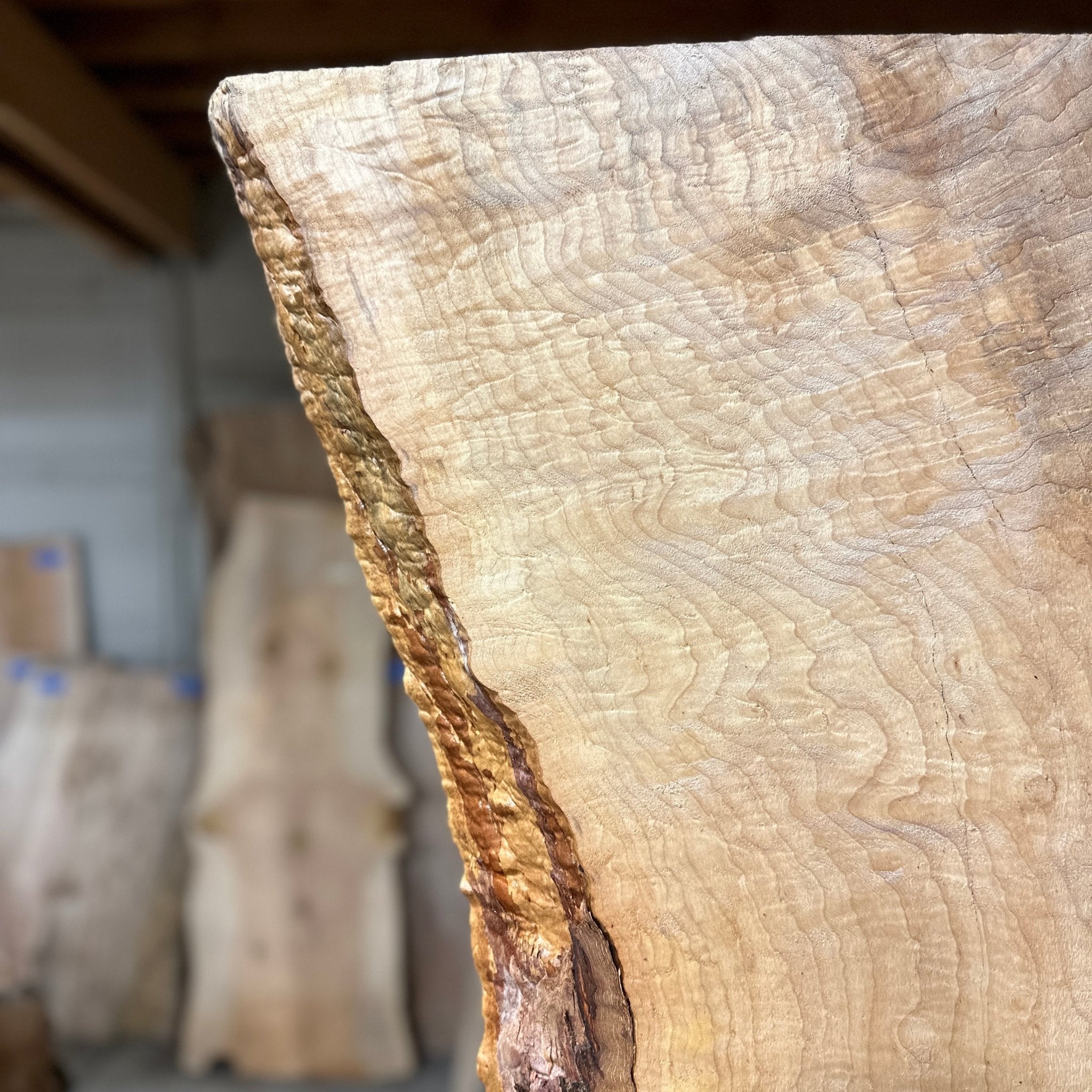 LiveEdge Norway Maple | Norway Maple | Hamilton Lee Supply