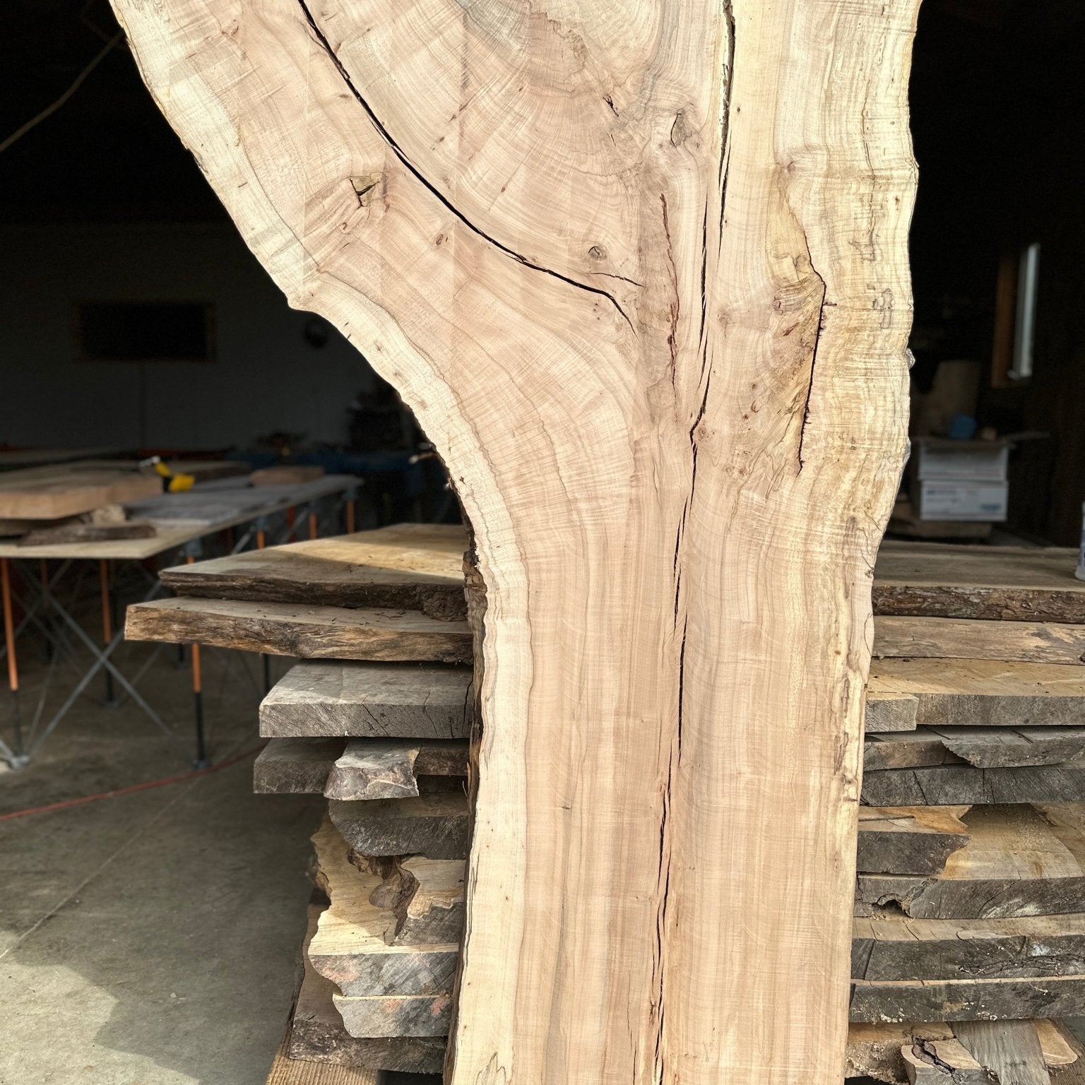 LiveEdge Norway Maple | Norway Maple | Hamilton Lee Supply