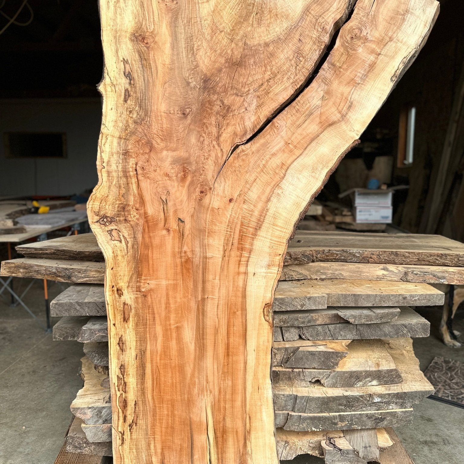 LiveEdge Norway Maple | Norway Maple | Hamilton Lee Supply