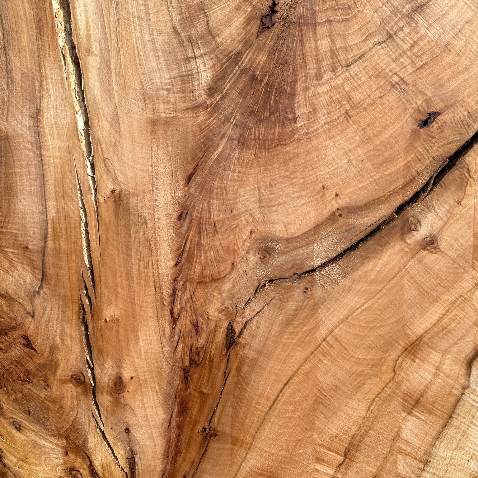 LiveEdge Norway Maple | Norway Maple | Hamilton Lee Supply