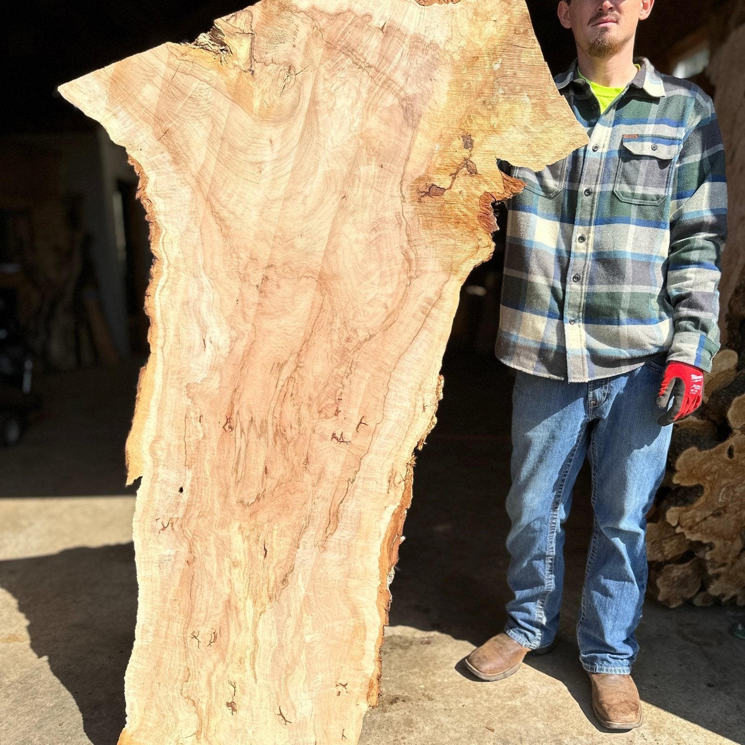 LiveEdge Norway Maple | Norway Maple | Hamilton Lee Supply