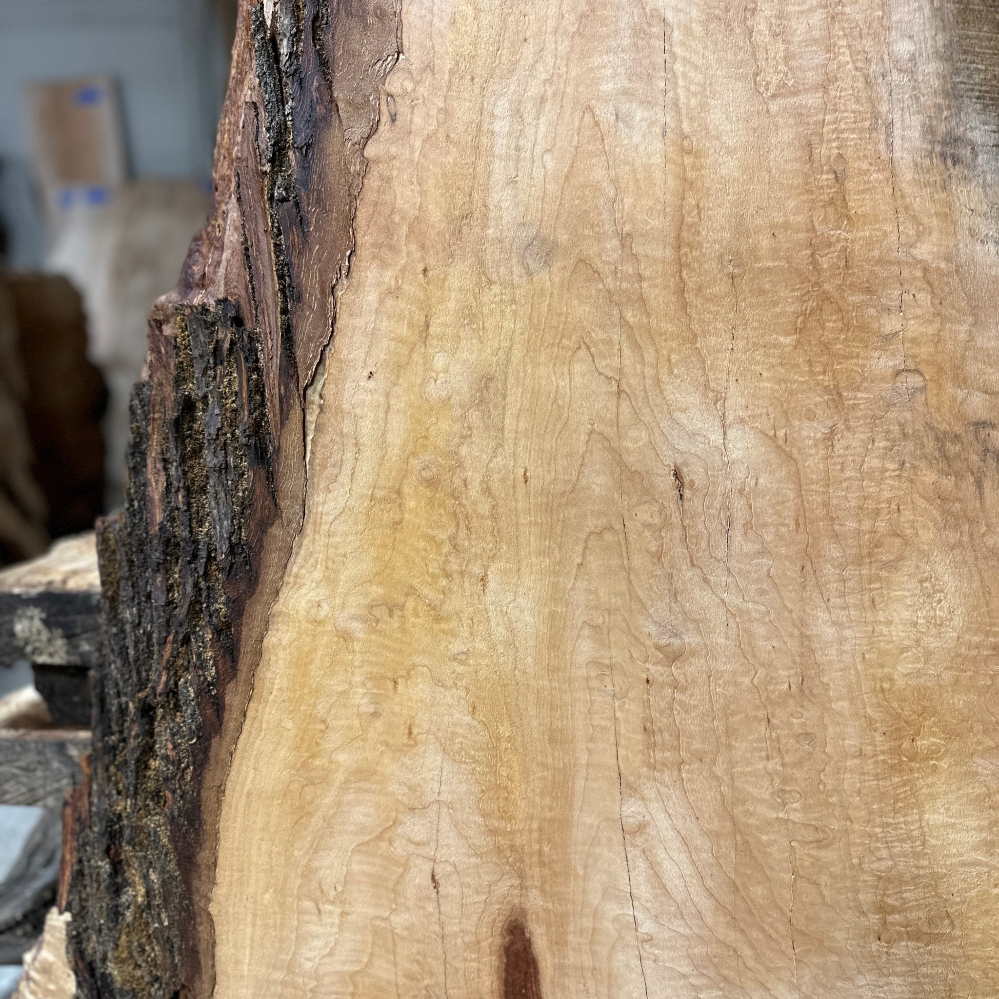 LiveEdge Norway Maple | Norway Maple | Hamilton Lee Supply