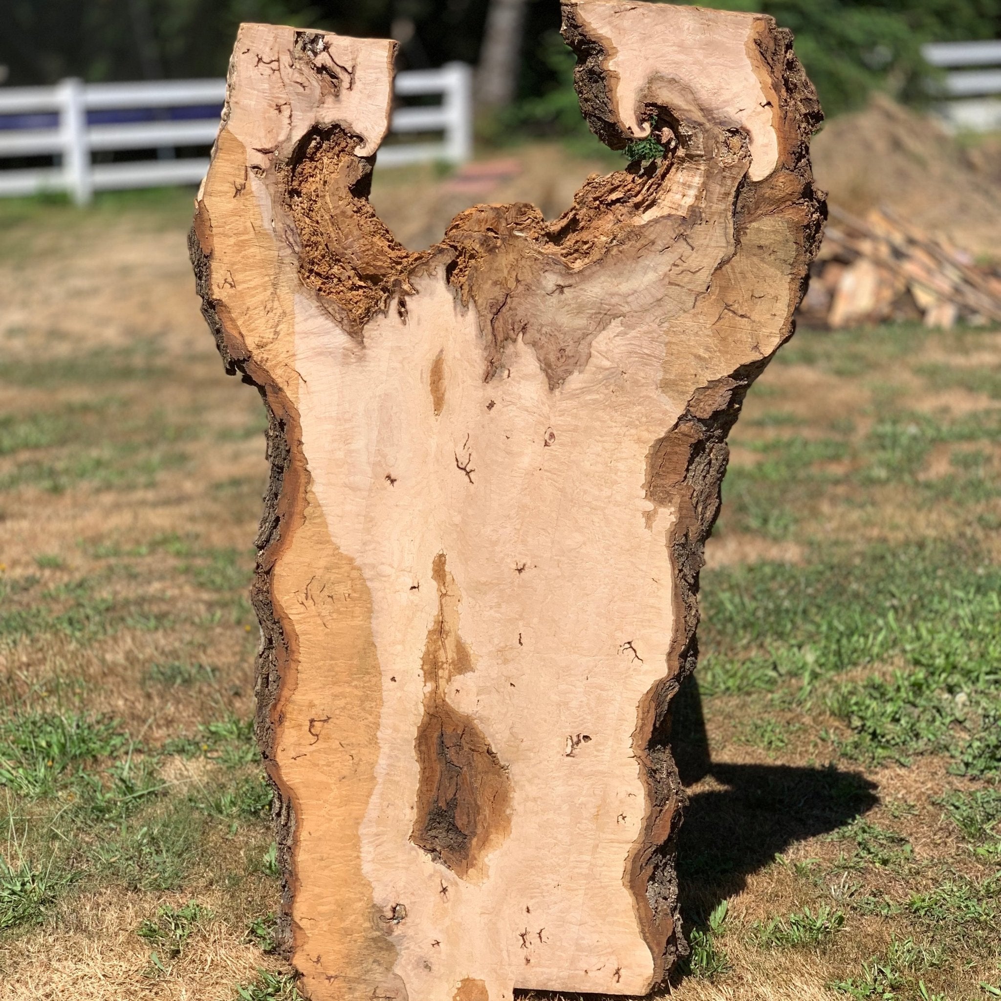 LiveEdge Norway Maple | Norway Maple | Hamilton Lee Supply