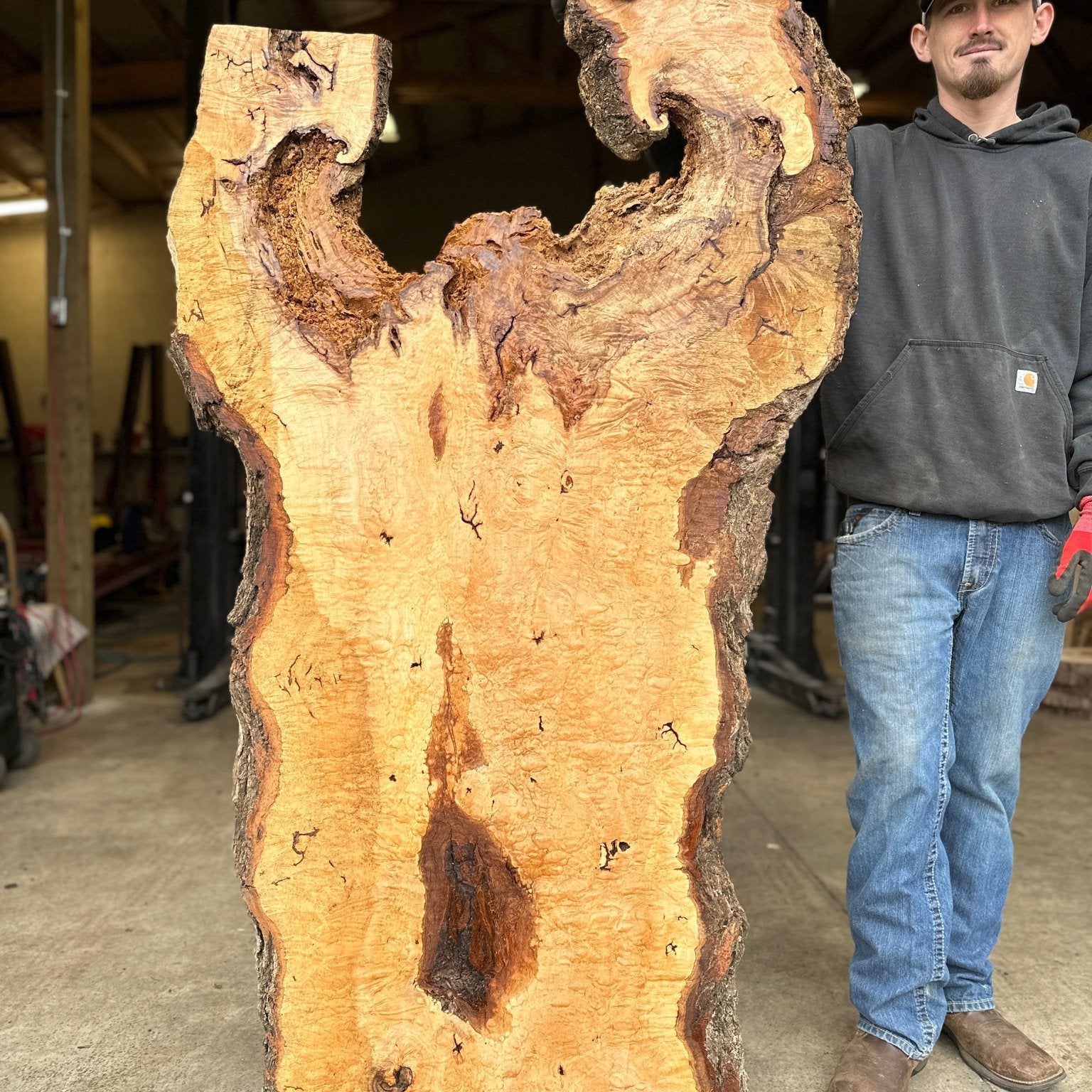 LiveEdge Norway Maple | Norway Maple | Hamilton Lee Supply