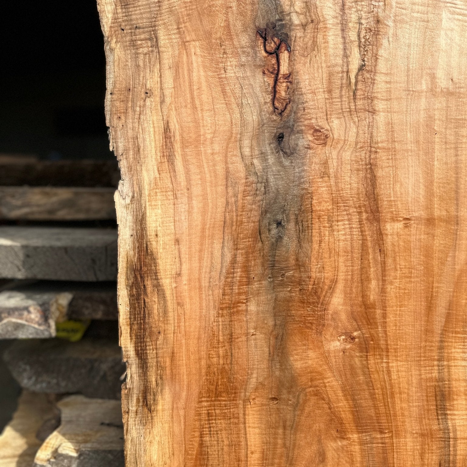 LiveEdge Norway Maple | Norway Maple | Hamilton Lee Supply