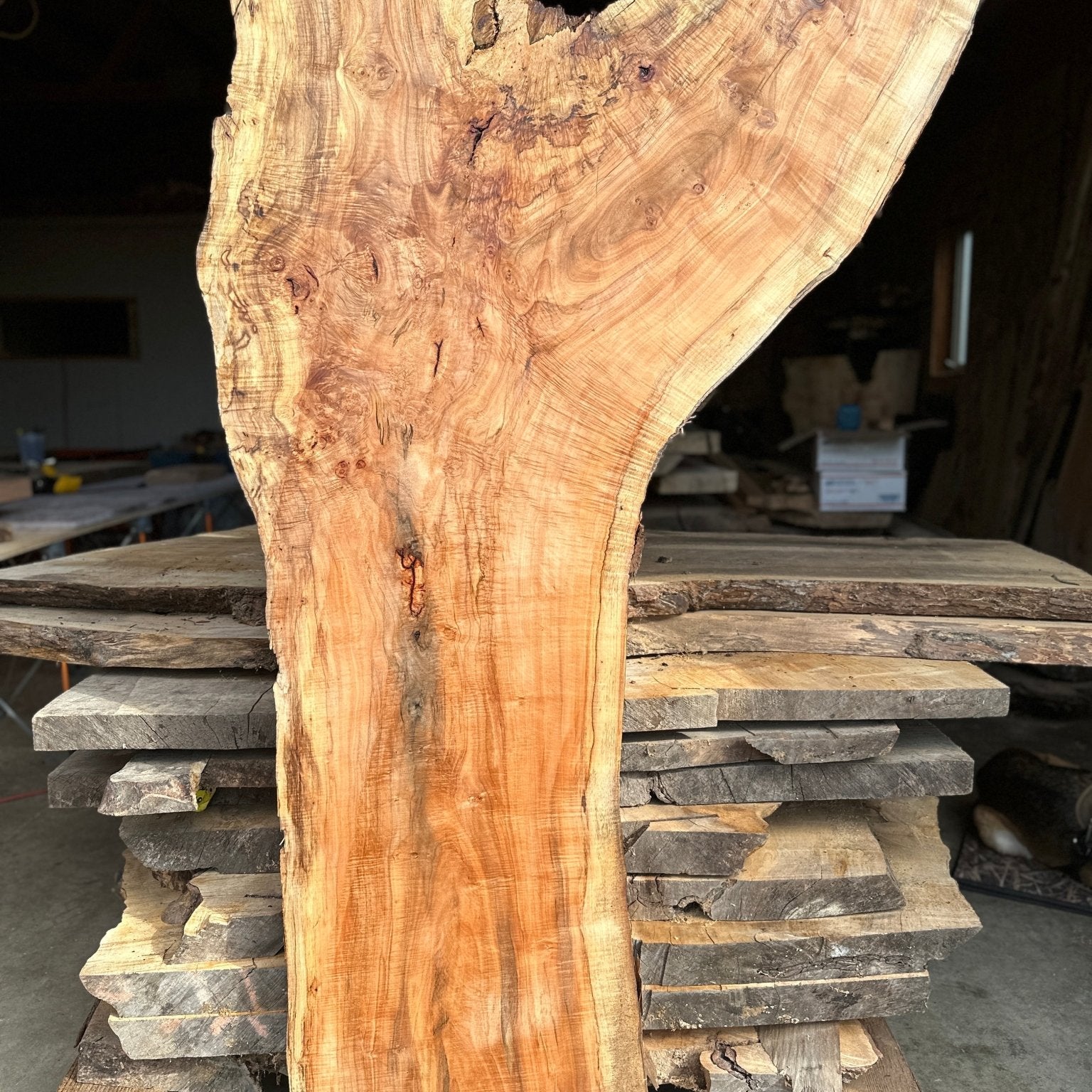 LiveEdge Norway Maple | Norway Maple | Hamilton Lee Supply