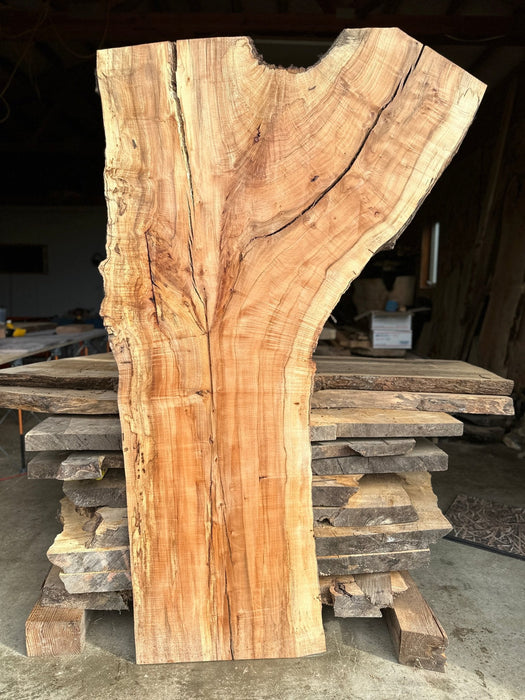 Double Diamond | LiveEdge Norway Maple | Norway Maple | Hamilton Lee Supply