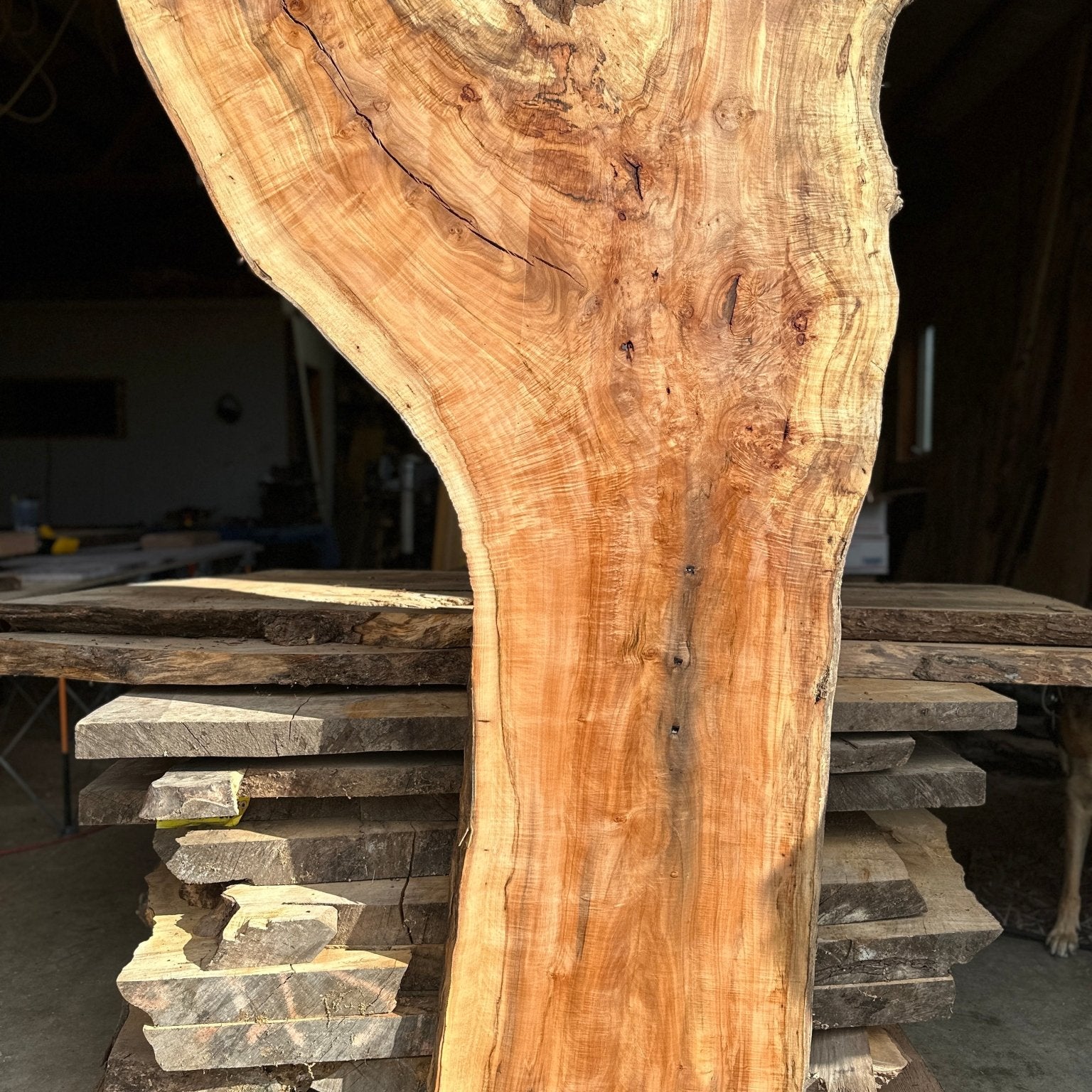 LiveEdge Norway Maple | Norway Maple | Hamilton Lee Supply