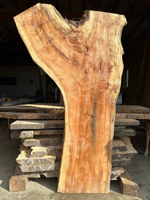 Double Diamond | LiveEdge Norway Maple | Norway Maple | Hamilton Lee Supply
