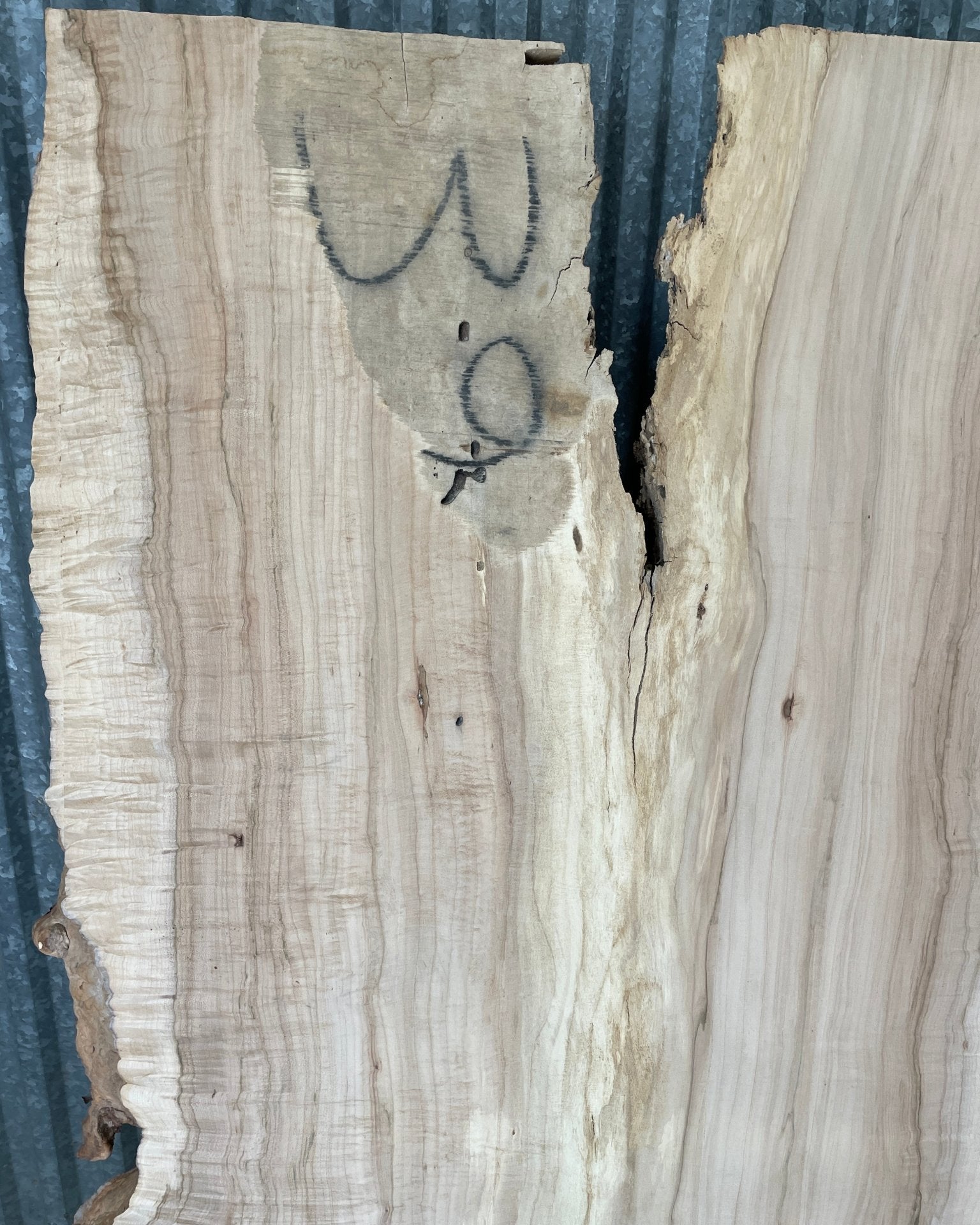 LiveEdge Norway Maple | Craft Wood & Shapes | Hamilton Lee Supply