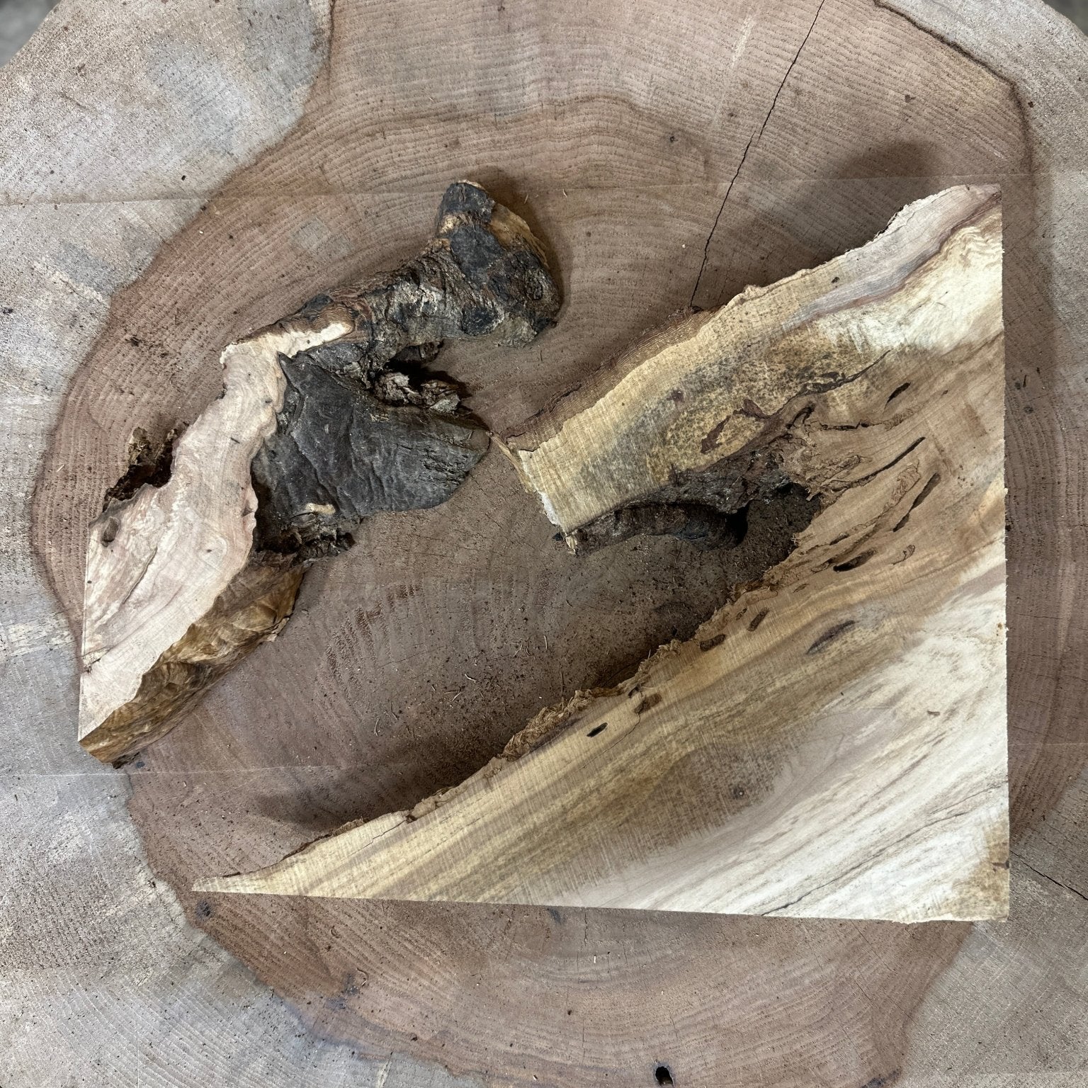 LiveEdge Norway Maple | Norway Maple | Hamilton Lee Supply
