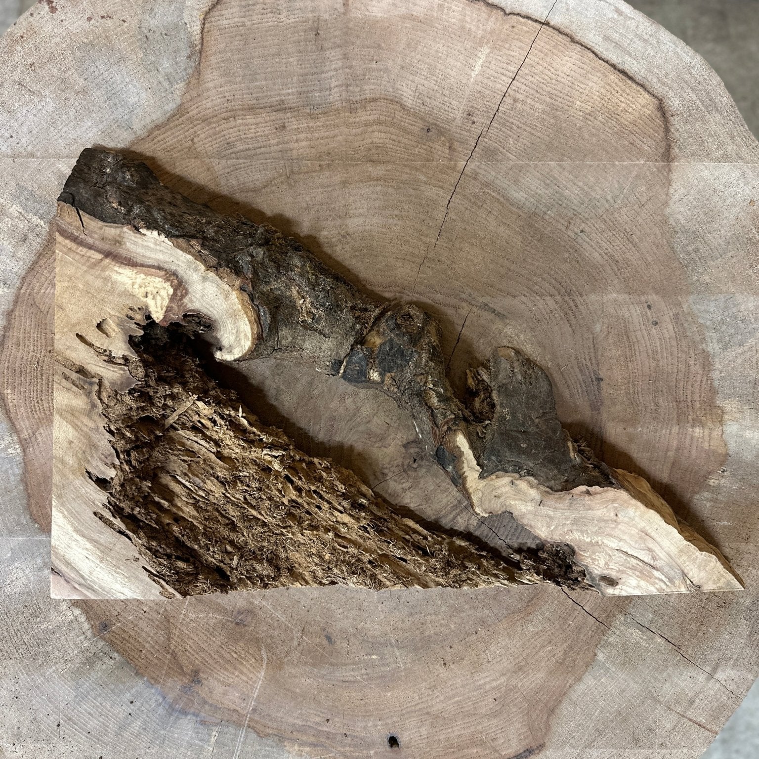 LiveEdge Norway Maple | Norway Maple | Hamilton Lee Supply