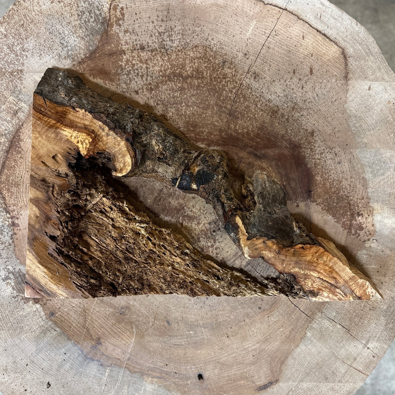 LiveEdge Norway Maple | Norway Maple | Hamilton Lee Supply