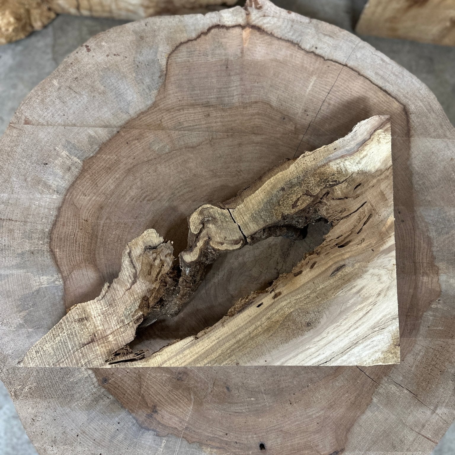LiveEdge Norway Maple | Norway Maple | Hamilton Lee Supply