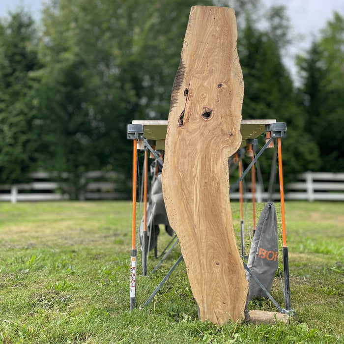 Hamilton Lee Supply - LiveEdge Olive - Hamilton Lee Supply
