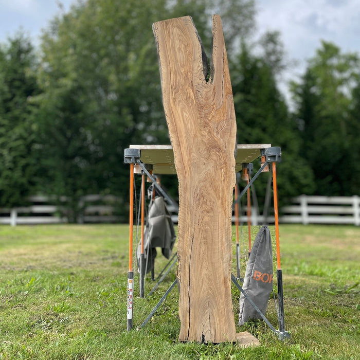 Hamilton Lee Supply - LiveEdge Olive - Hamilton Lee Supply