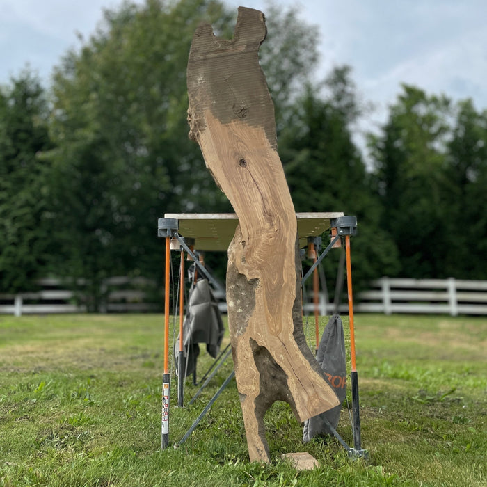 Hamilton Lee Supply | LiveEdge Olive | | Hamilton Lee Supply
