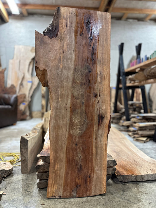 Hamilton Lee Supply | LiveEdge Pecan | Pecan | Hamilton Lee Supply