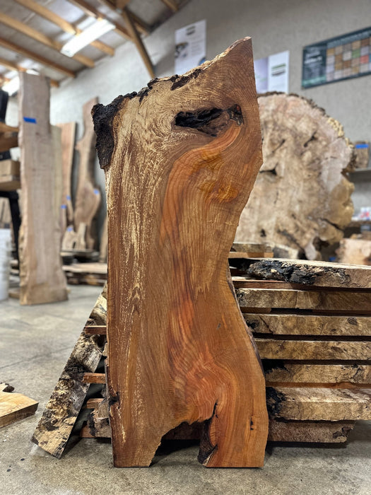Coastal Woodworks | LiveEdge Red Alder | Red Alder | Hamilton Lee Supply