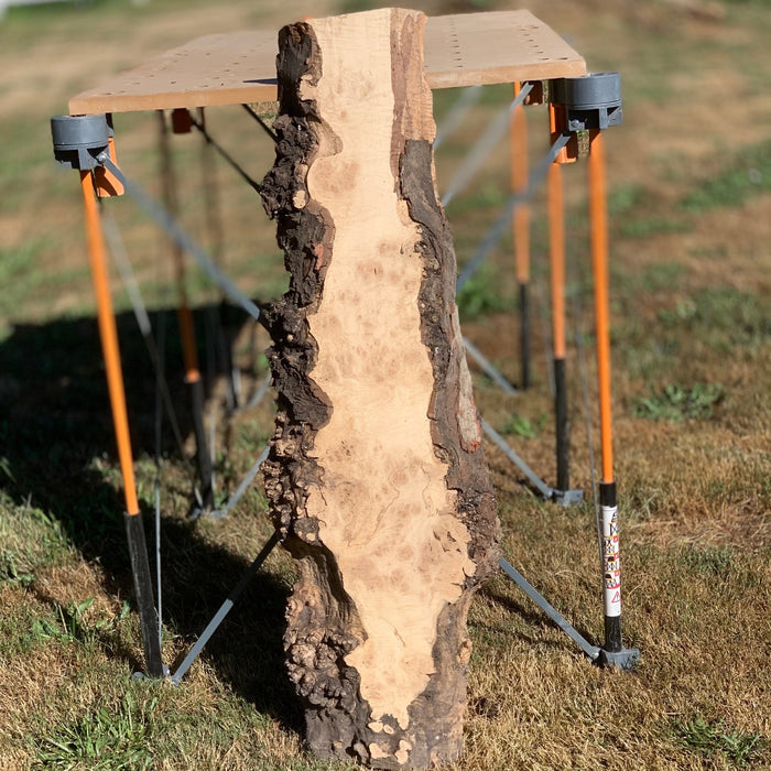Double Diamond | LiveEdge Silver Maple | | Hamilton Lee Supply