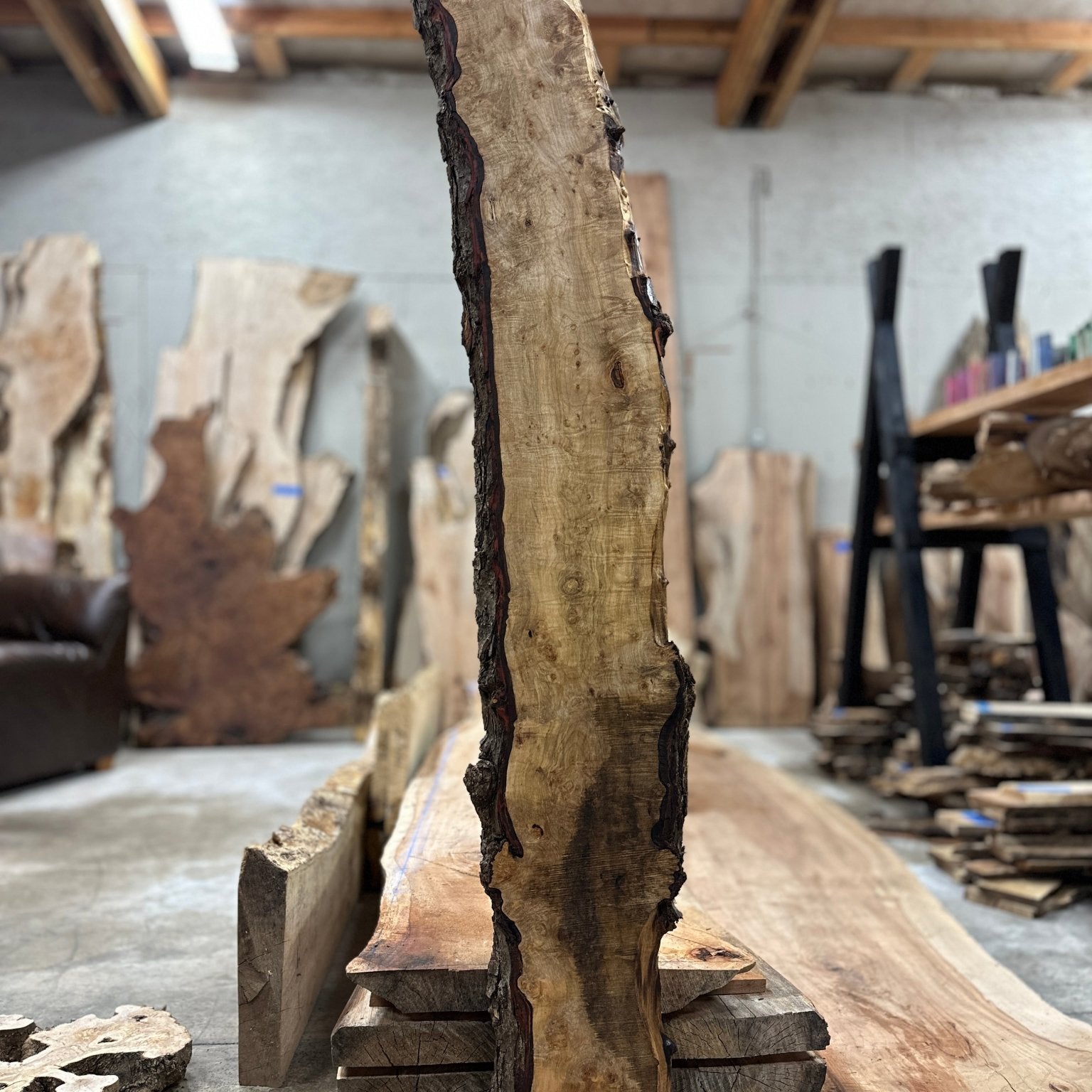 LiveEdge Silver Maple | Silver Maple | Hamilton Lee Supply