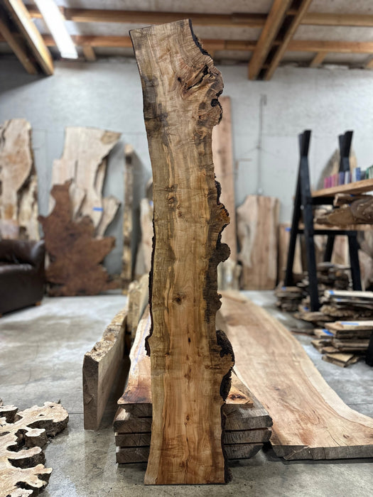 Double Diamond | LiveEdge Silver Maple | Silver Maple | Hamilton Lee Supply